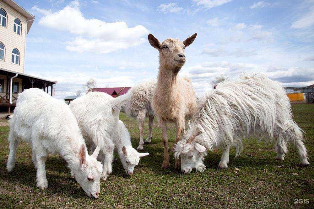 Отзывы на компанию ЮгАгроХим в г. Самара c фото