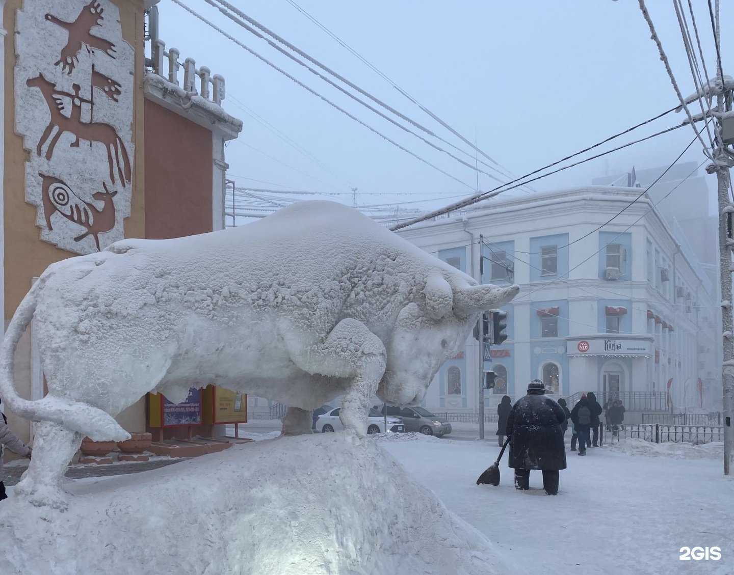 Отзывы на компанию Центральный в г. Якутск c фото