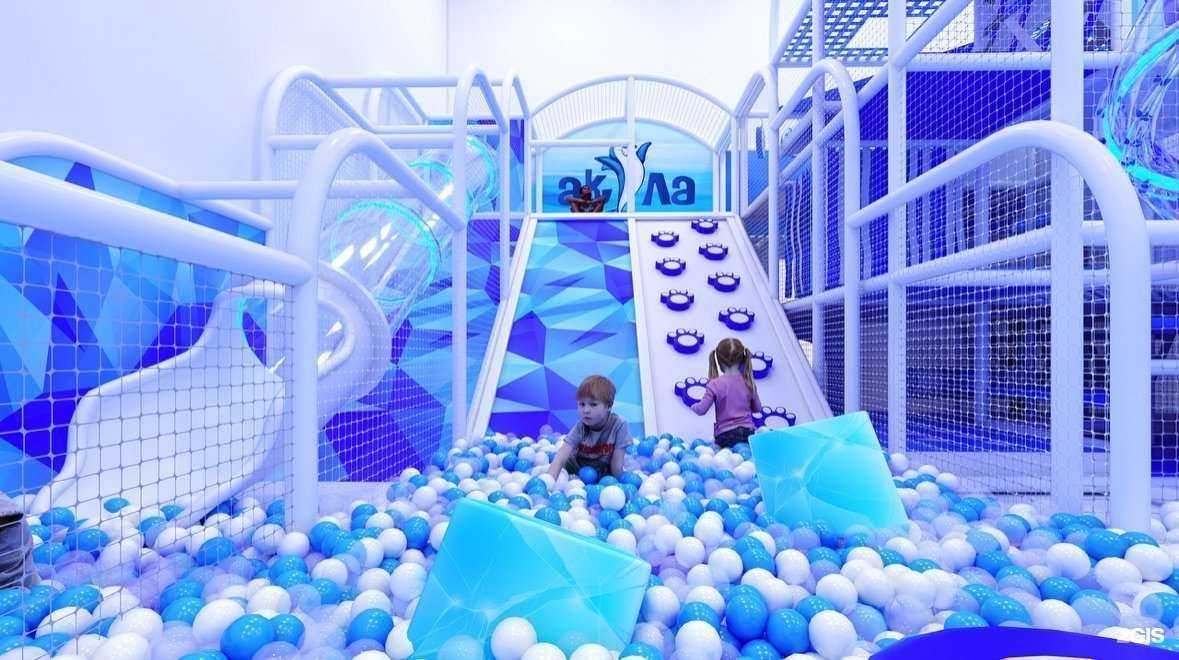 Отзывы на компанию Акула в Иркутске c фото