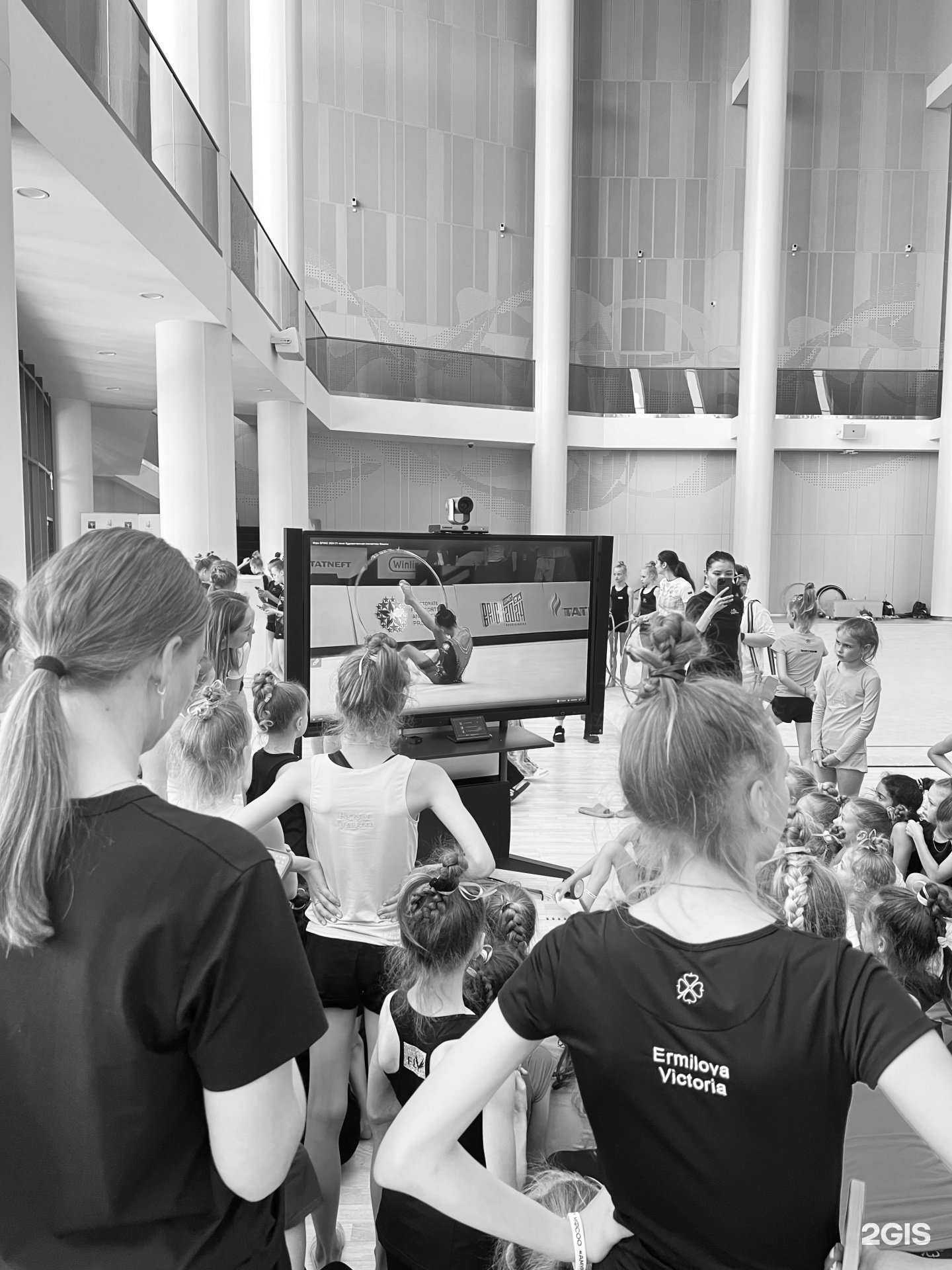 Отзывы на компанию Амурские тигрята в г. Чита c фото