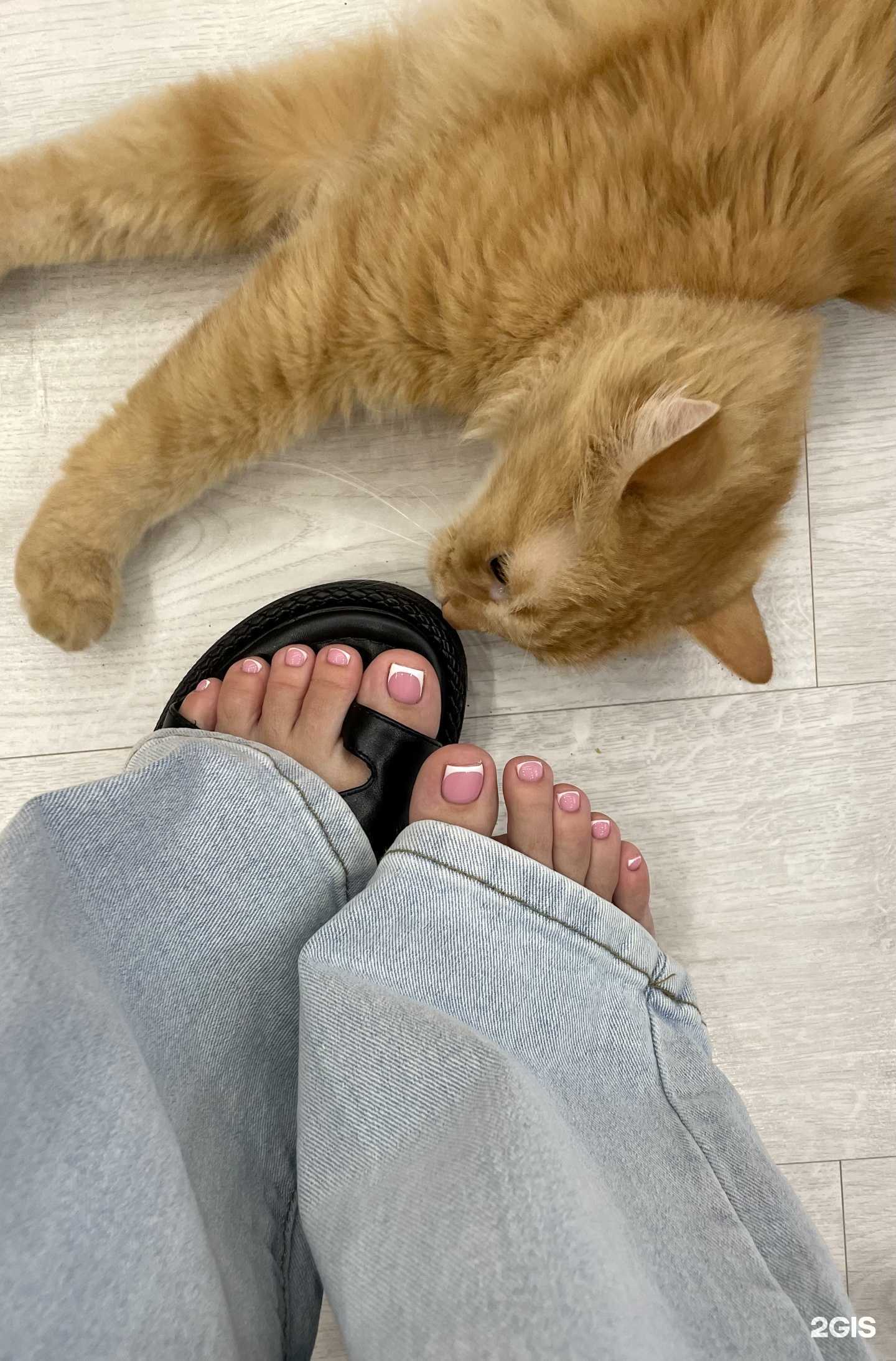 Отзывы на компанию Ptichka в Набережных Челнах c фото