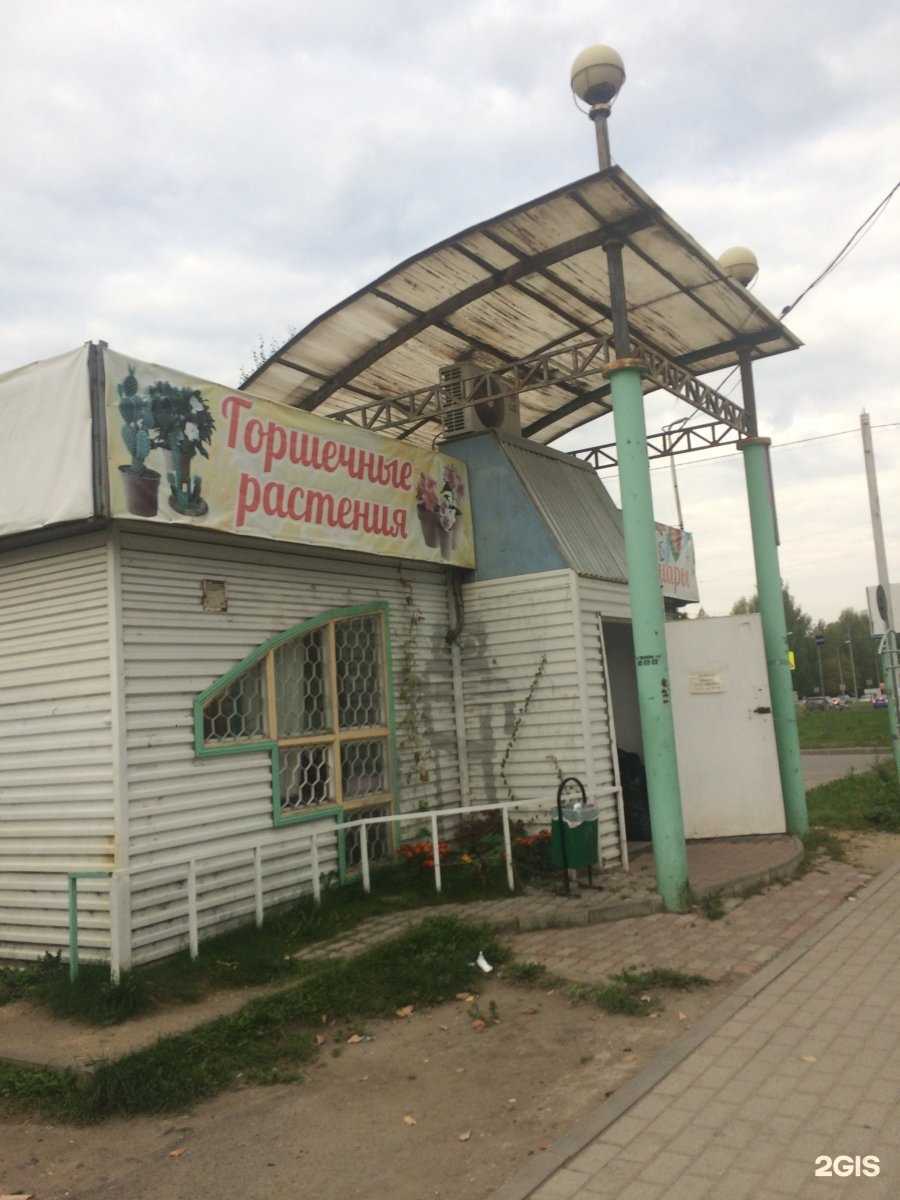 Отзывы на компанию Цветок в Вологде c фото