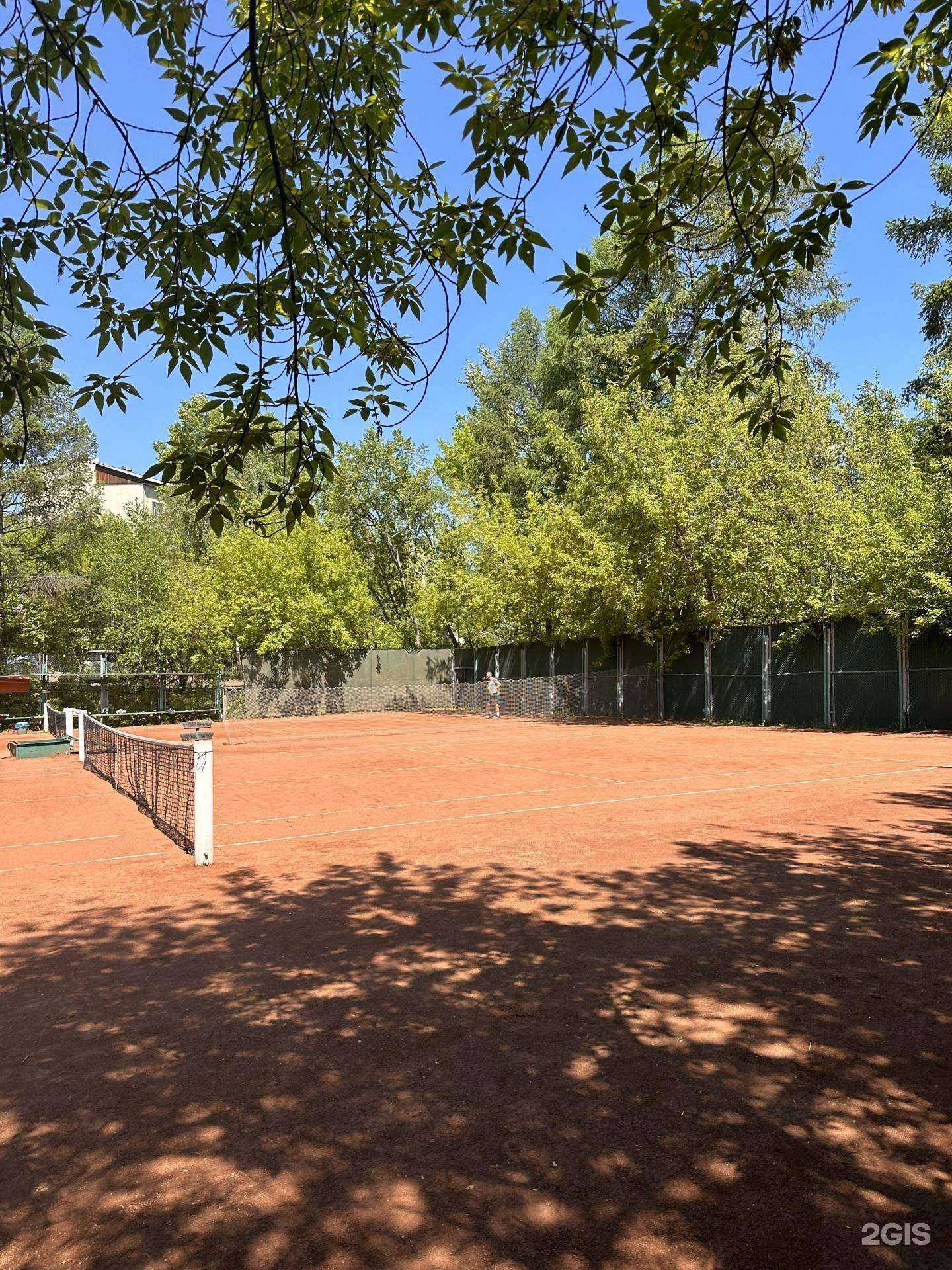 Отзывы на компанию Академкорт в Иркутске c фото