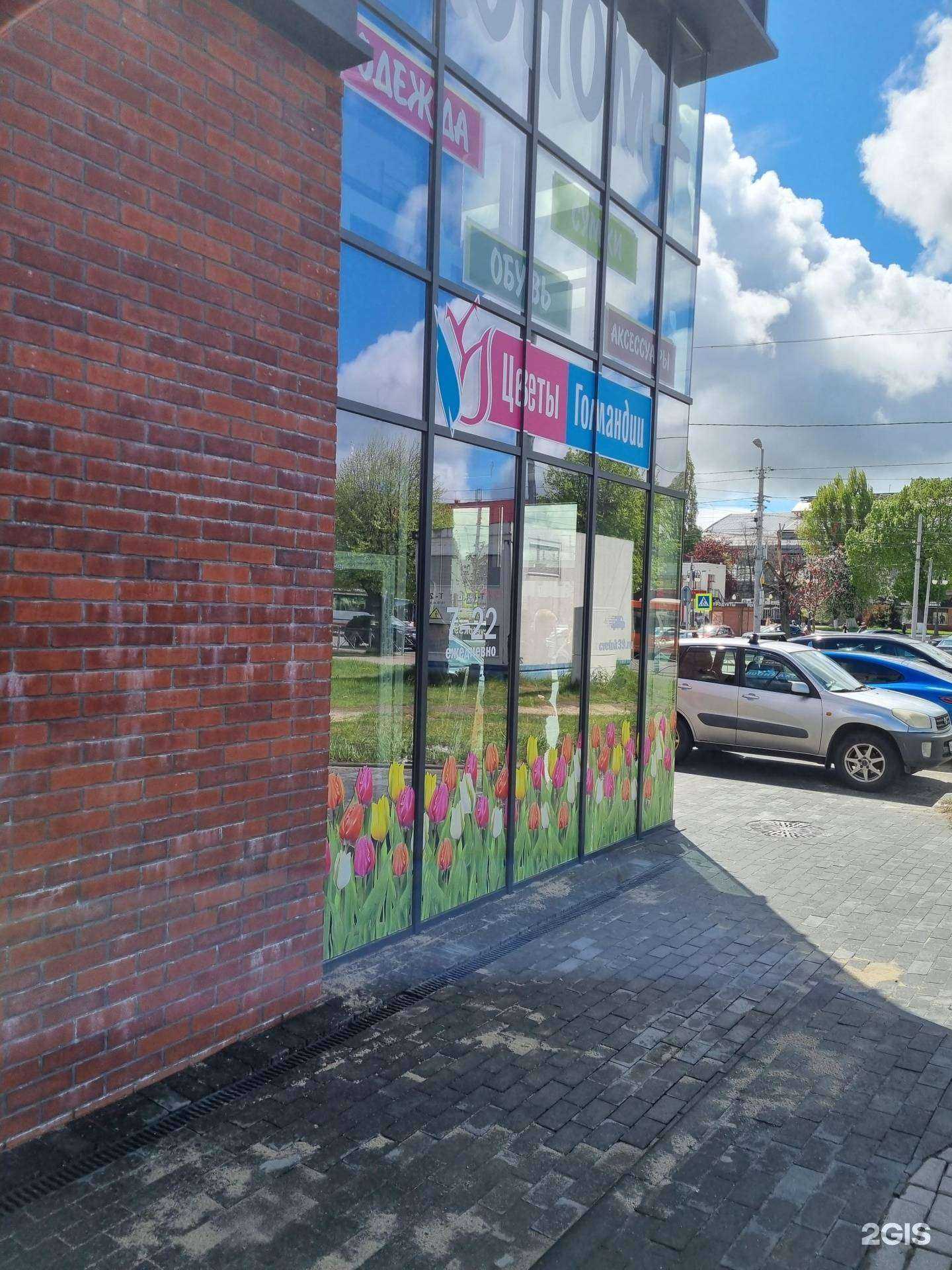 Отзывы на компанию Цветы Голландии в Калининграде c фото