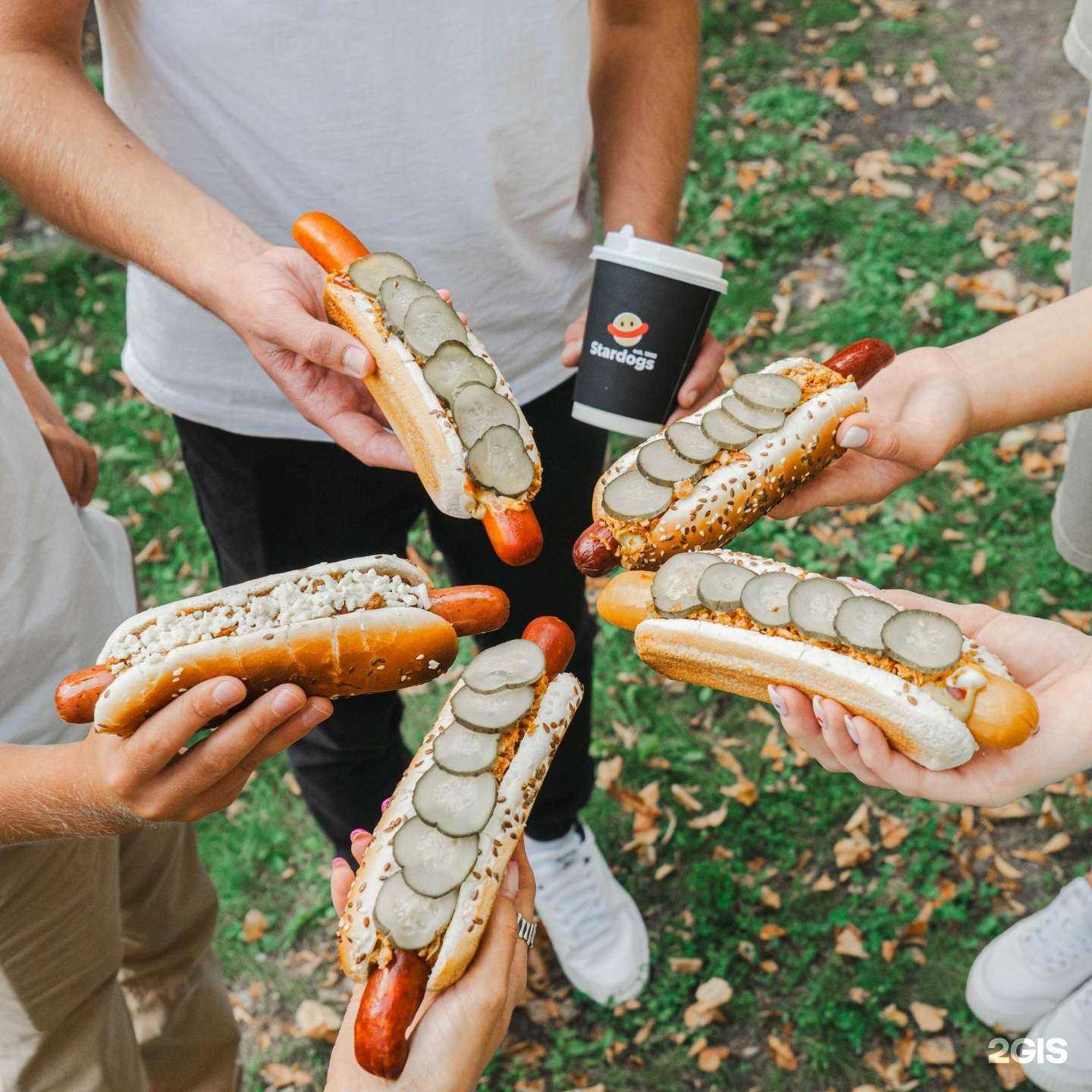 Отзывы на компанию Stardogs в Воронеже c фото