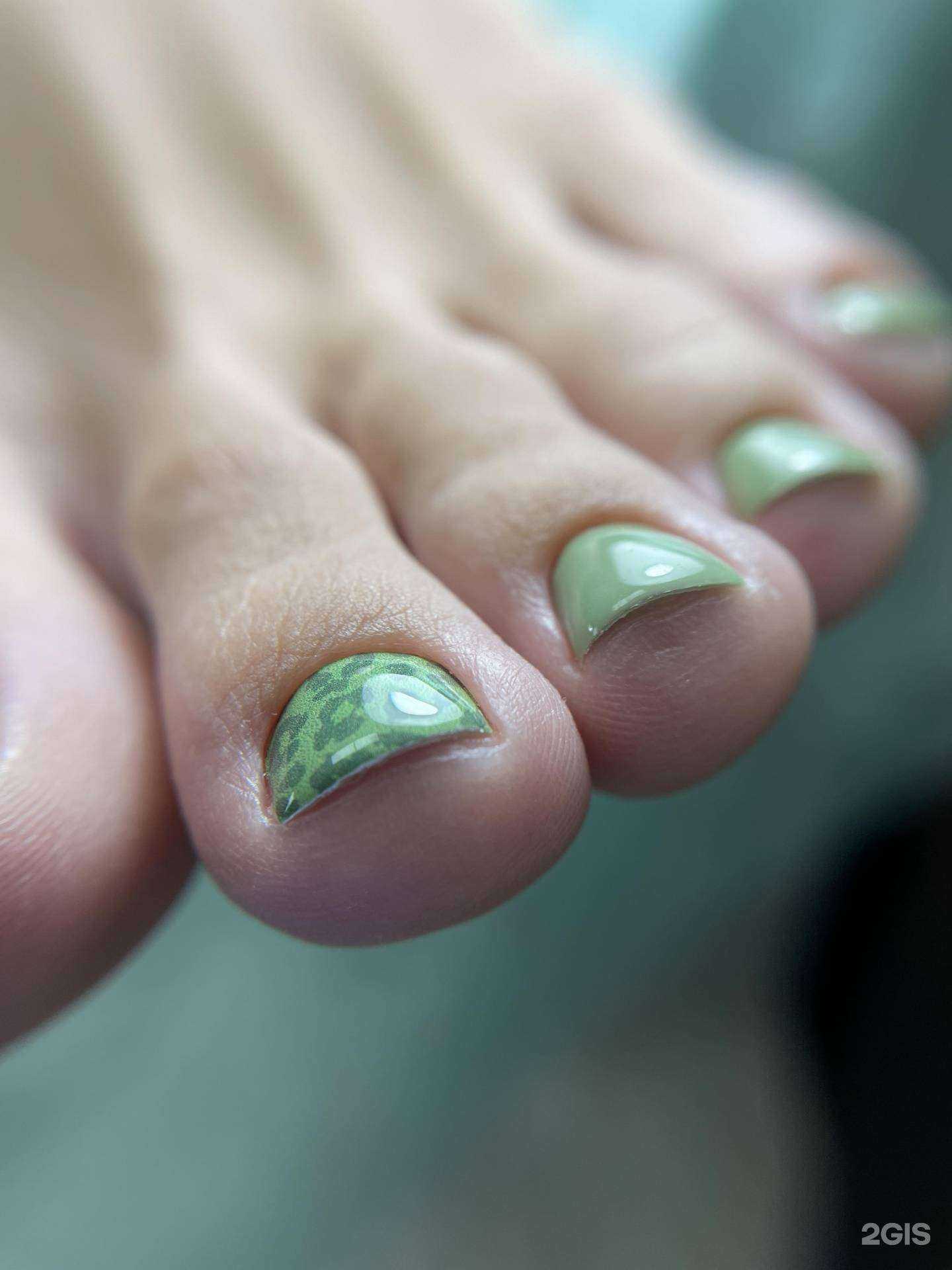 Отзывы на компанию Nova в Кемерове c фото