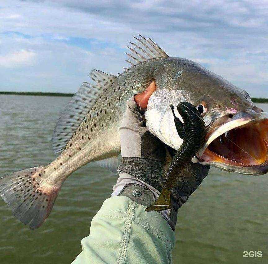 Отзывы на компанию Адреналин.ru в Химках c фото