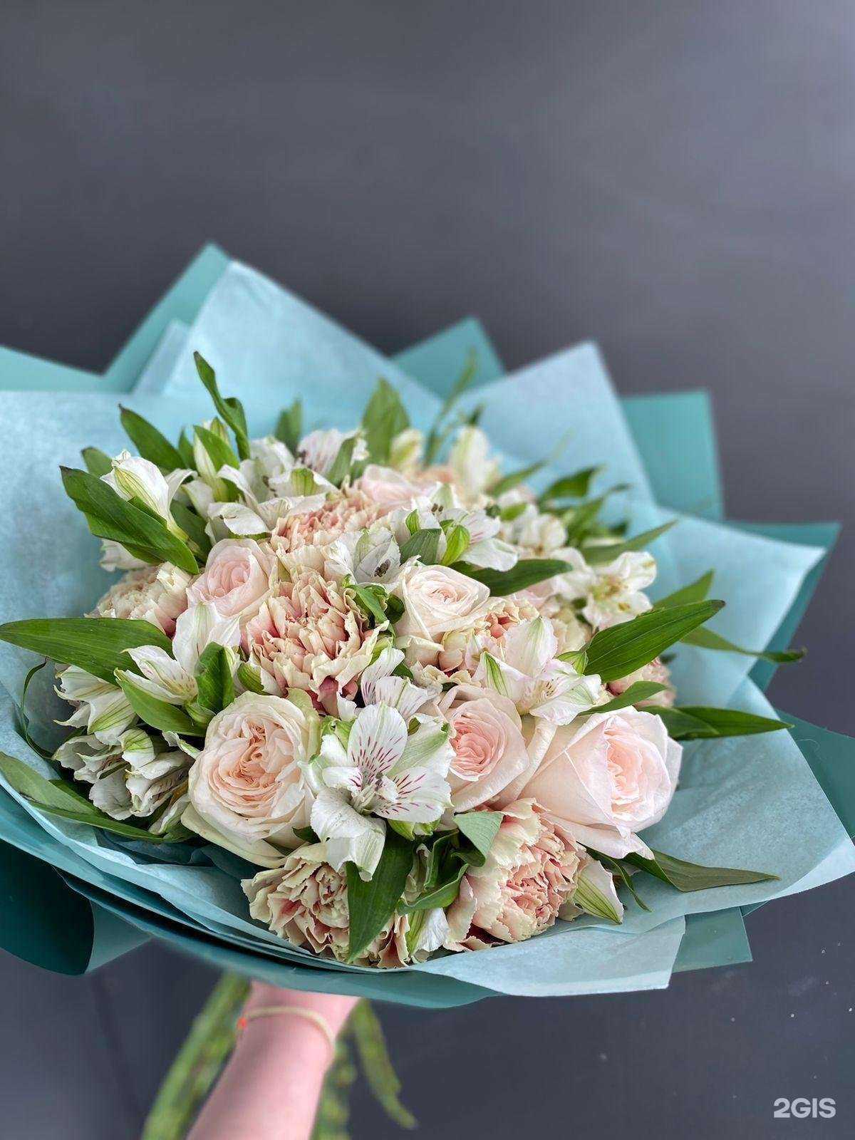 Отзывы на компанию Мята в Дальнегорске c фото