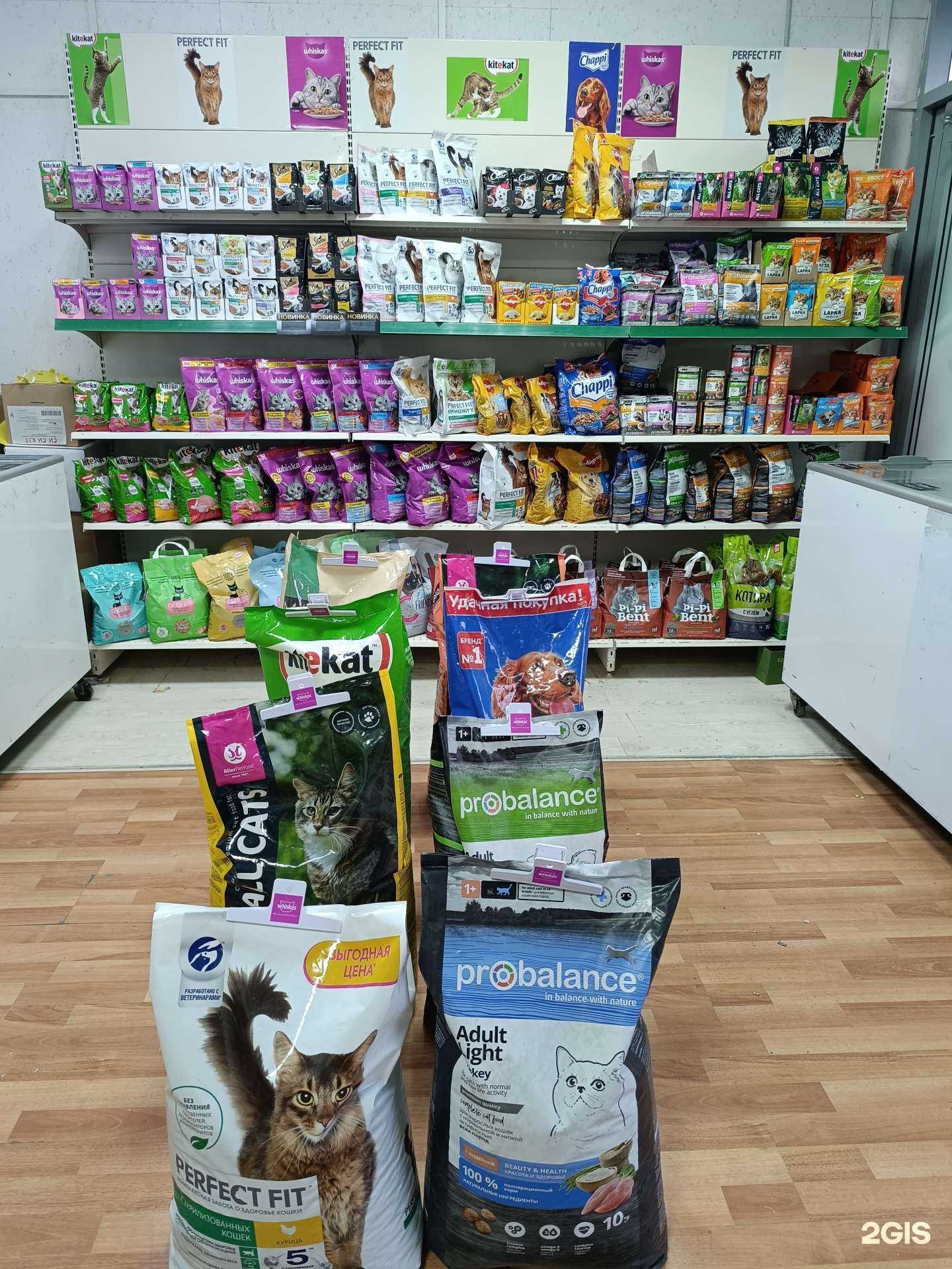 Отзывы на компанию ЭкоДог в Ростове-на-Дону c фото