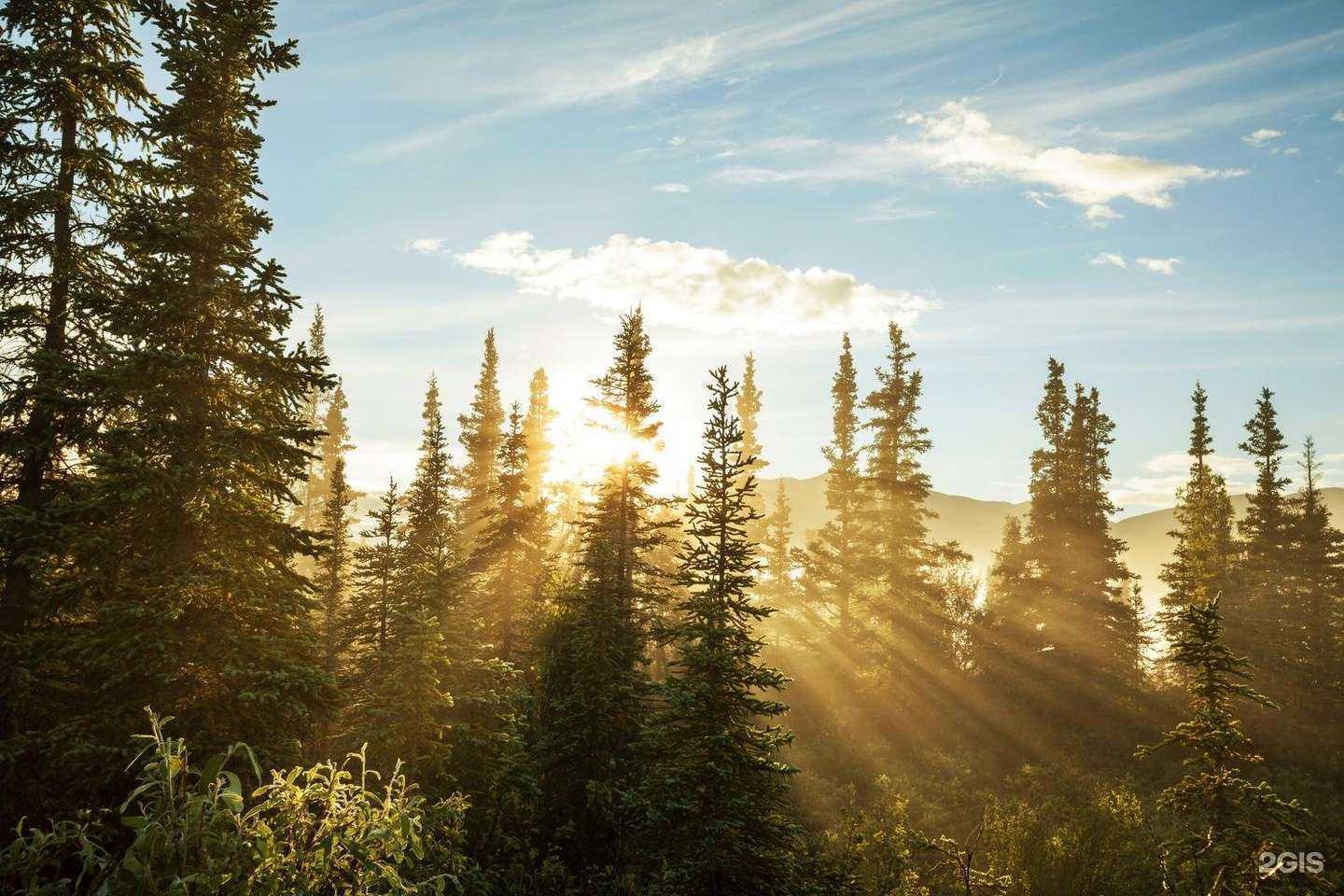 Отзывы на компанию Дрим Дом в г. Киров c фото