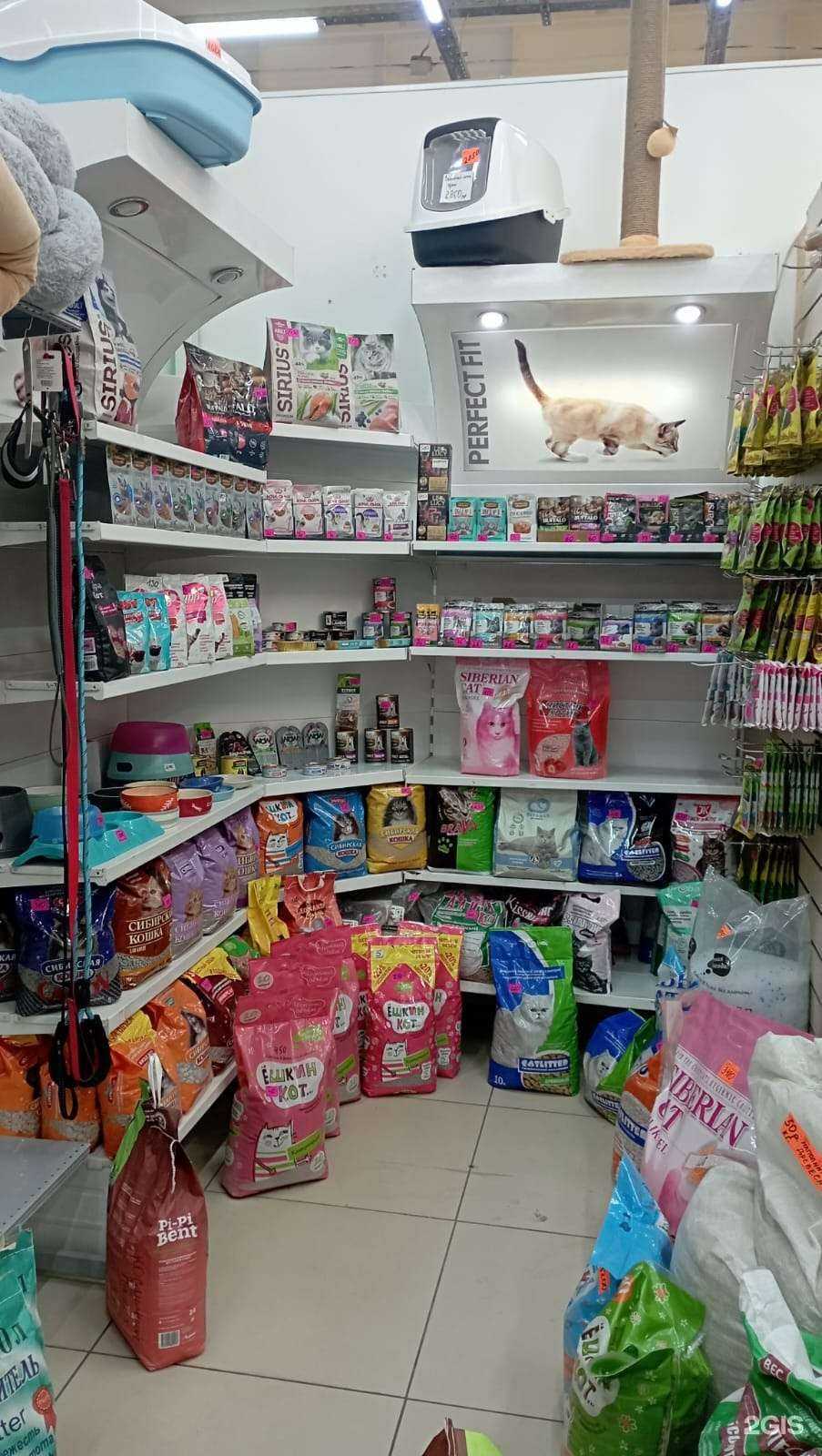 Отзывы на компанию Zooмания в г. Прокопьевск c фото