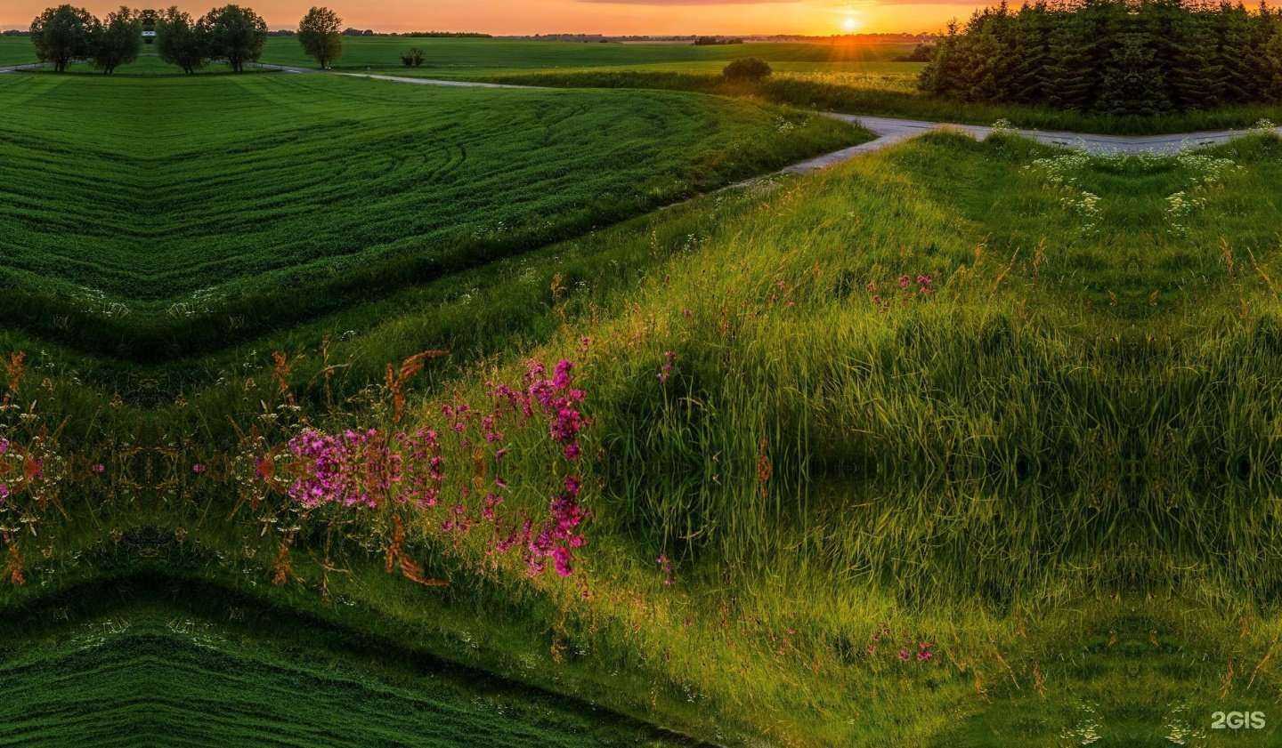 Отзывы на компанию Домолюбово в Москве c фото