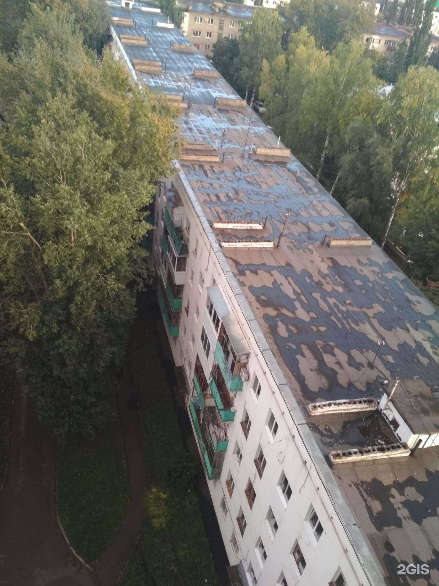 Отзывы на компанию Агрозащита в Уфе c фото - фотография 2 из 2