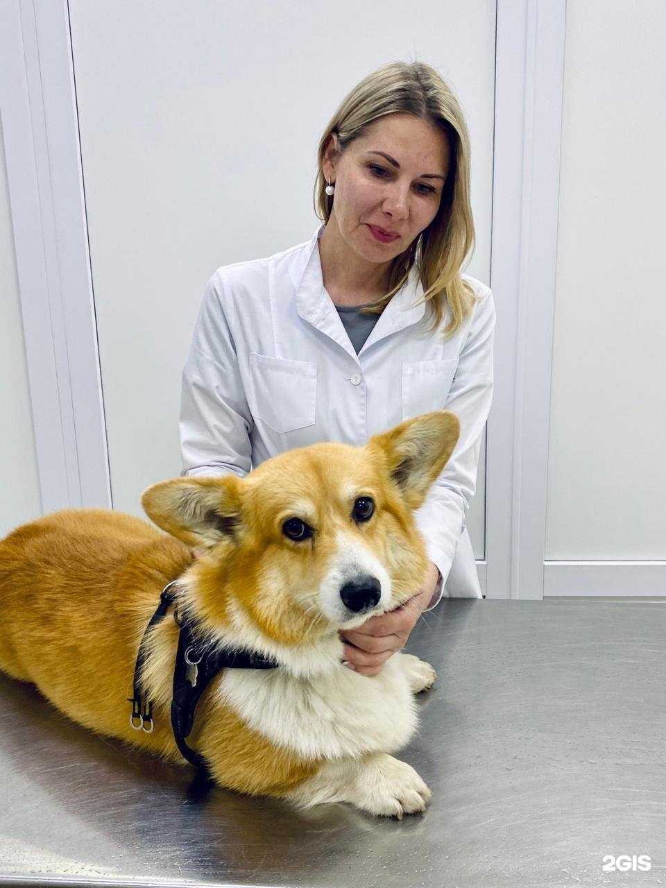 Отзывы на компанию Умка в г. Солнечногорск c фото