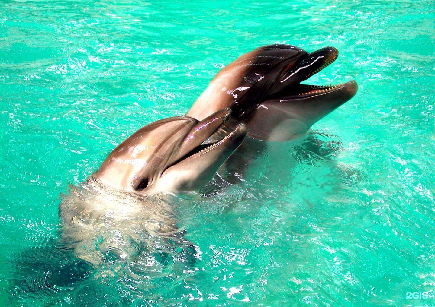 Отзывы на компанию Фото Гоголь в Самаре c фото