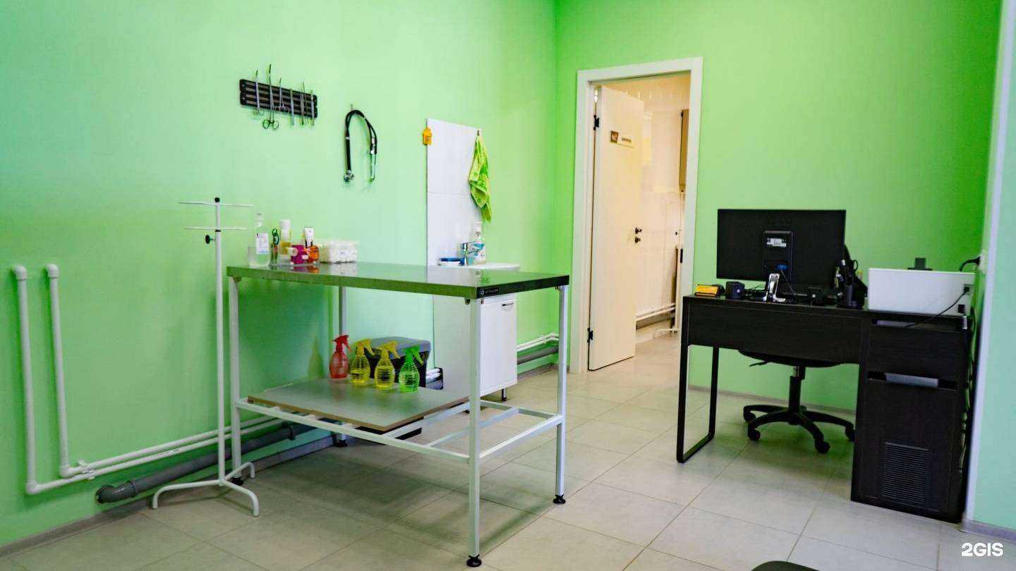 Отзывы на компанию Дай лапу в г. Тольятти c фото