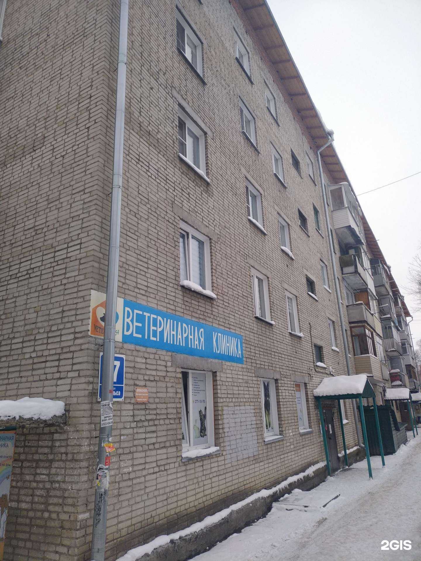 Отзывы на компанию Ветеринар 54 в Новосибирске c фото - фотография 2 из 2