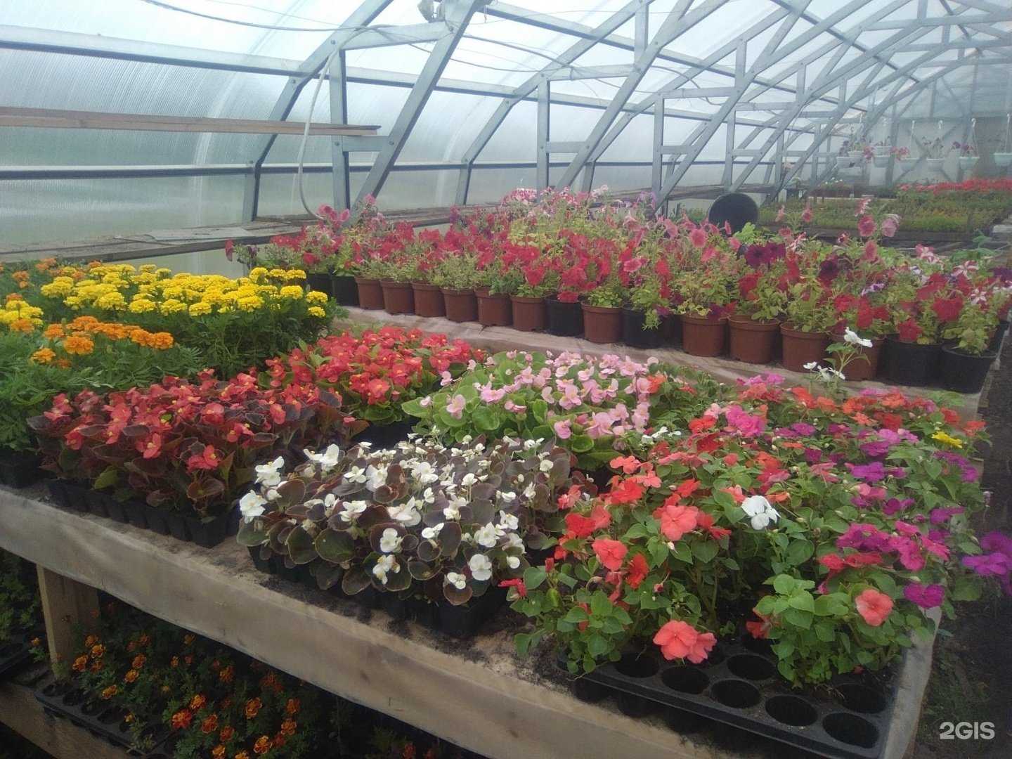 Отзывы на компанию Городской комбинат благоустройства в Петрозаводске c фото