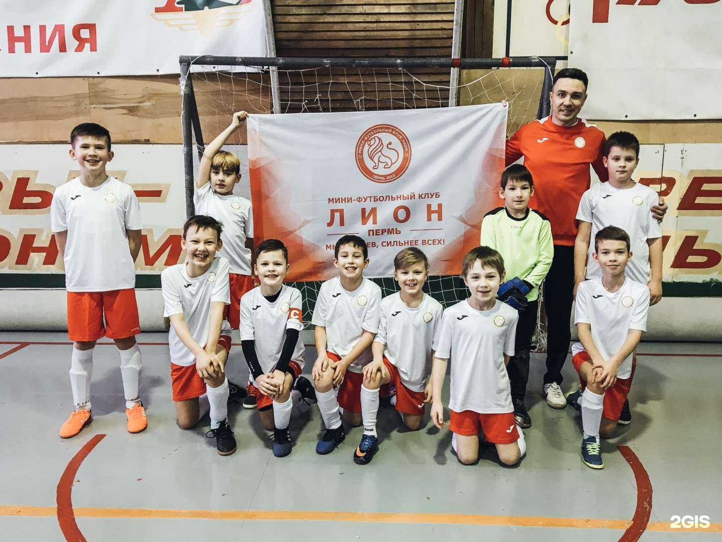 Отзывы на компанию Лион в Перми c фото