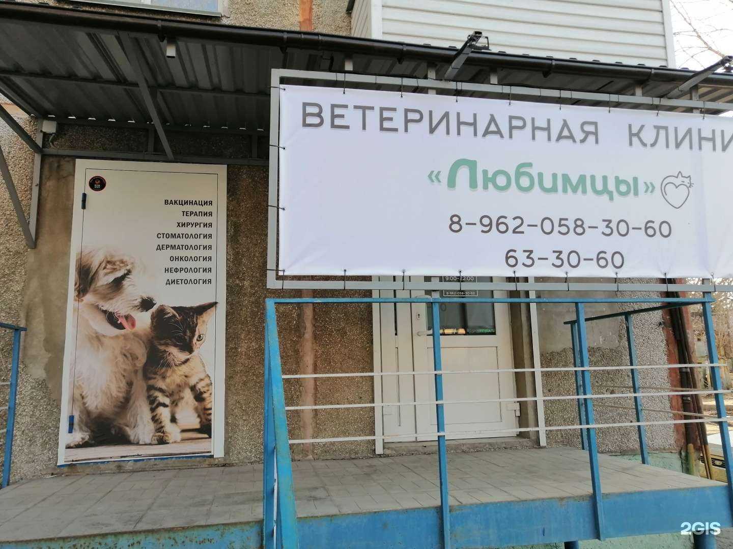 Отзывы на компанию Любимцы в Омске c фото