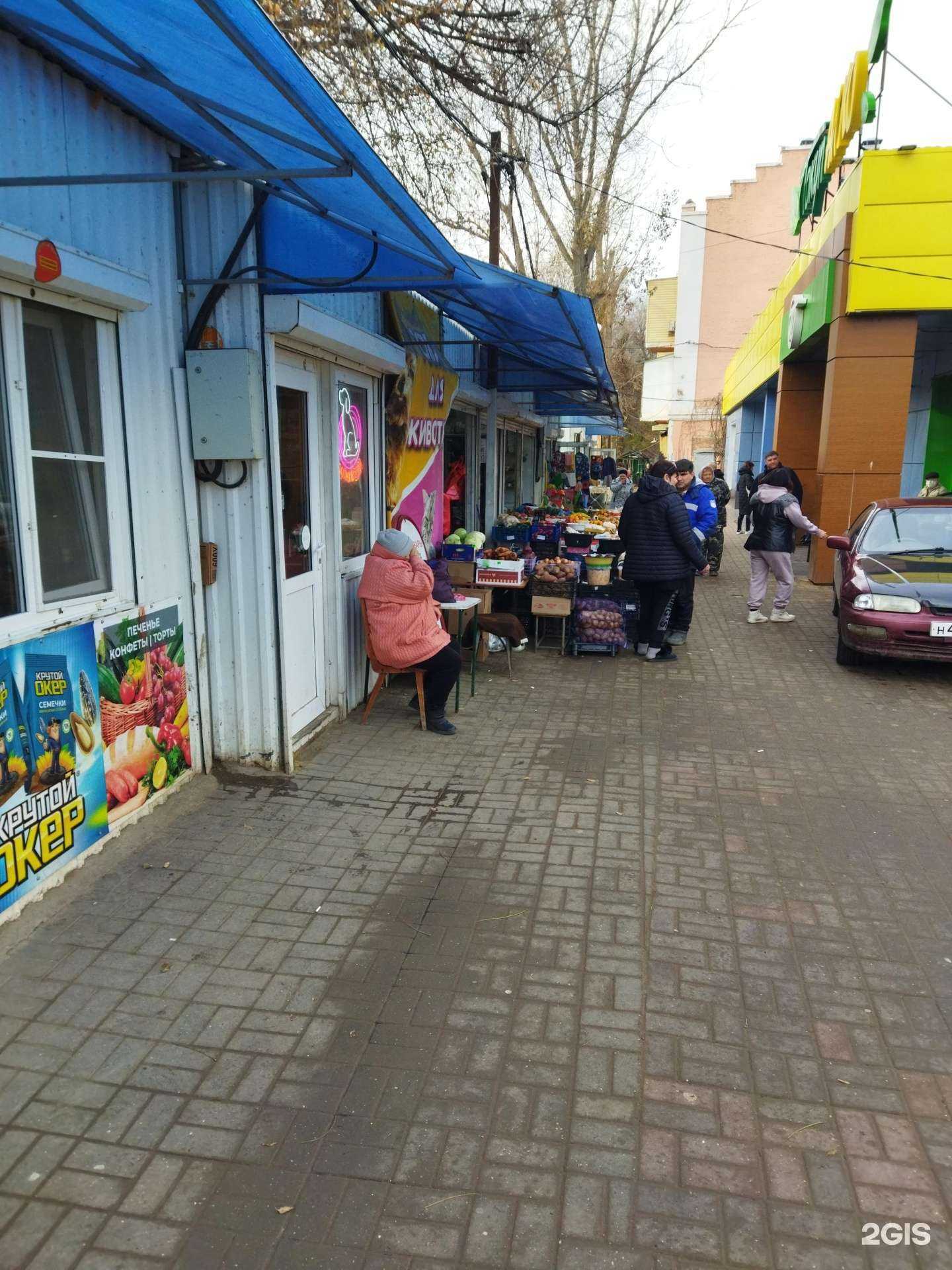 Отзывы на компанию Зоомагазин в Астрахани c фото