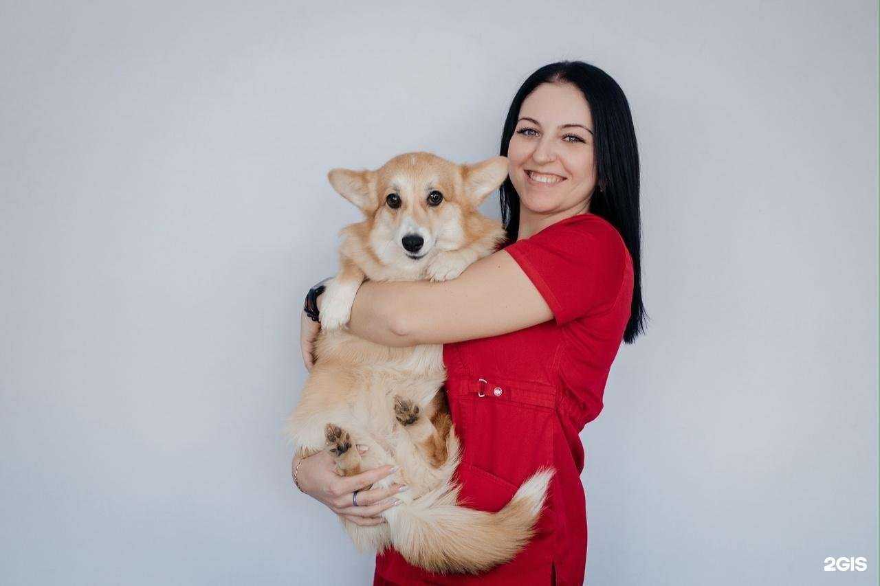 Отзывы на компанию ЗооМедЭскперт в г. Смоленск c фото