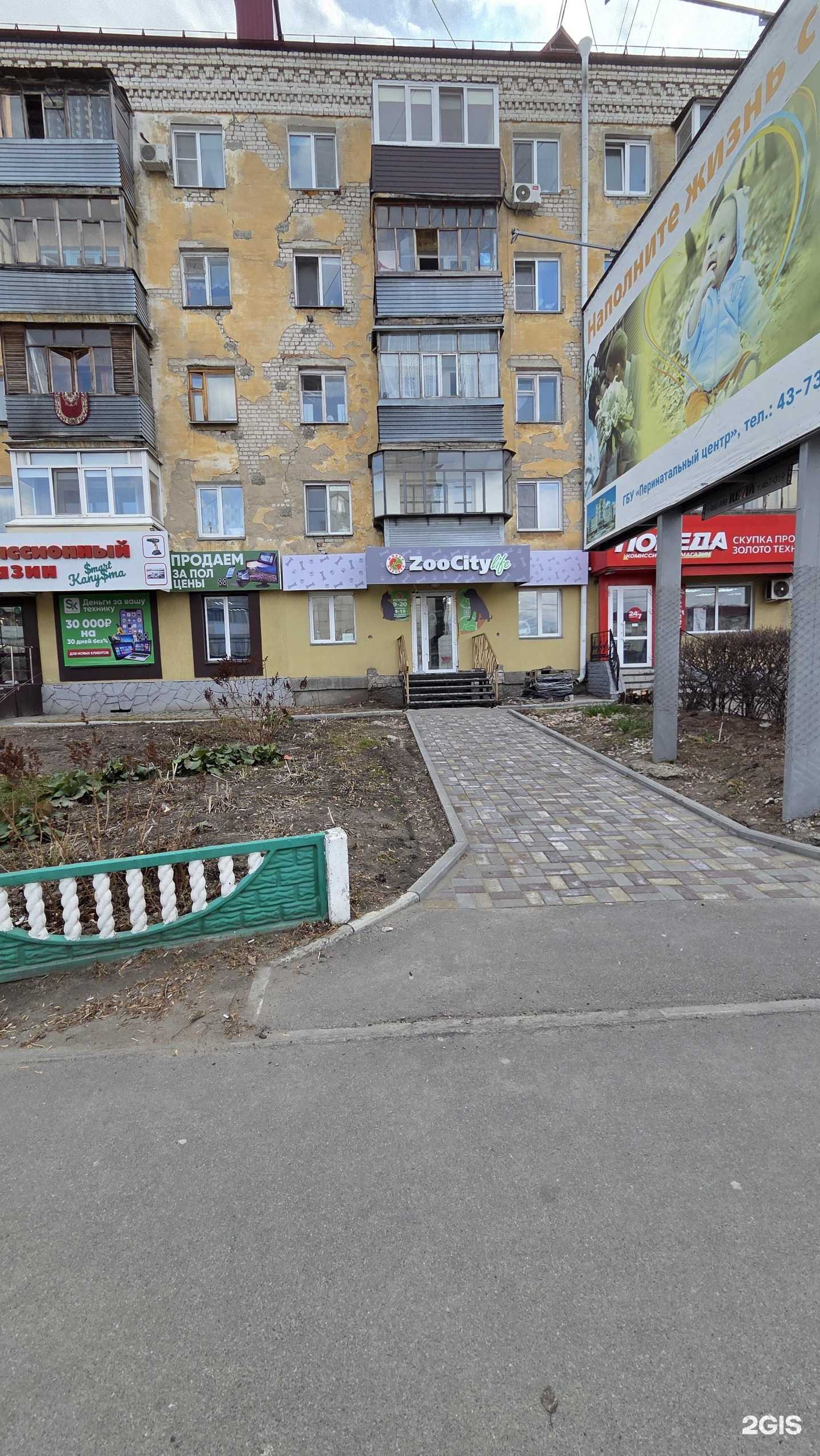 Отзывы на компанию Живая планета в Кургане c фото