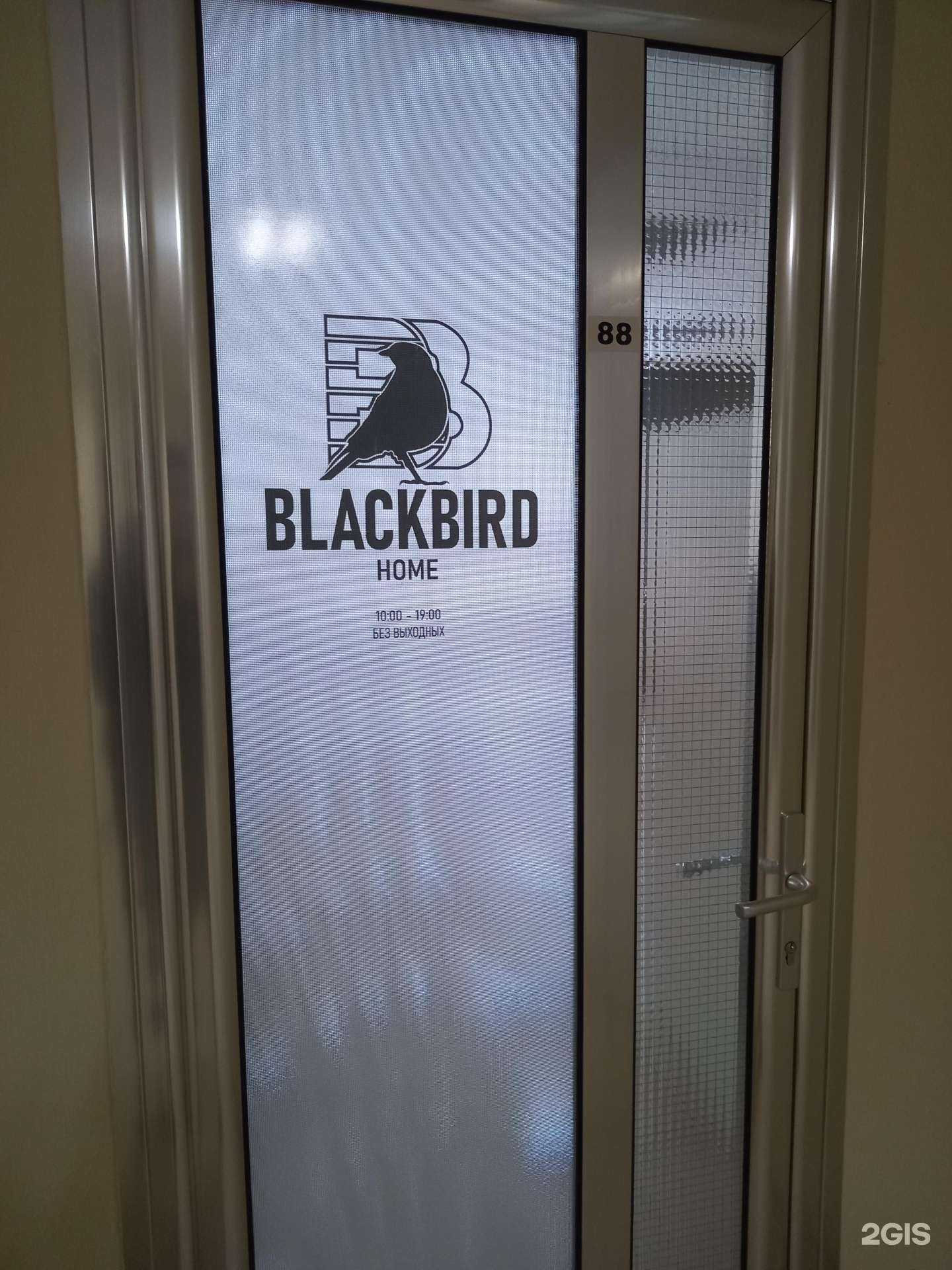 Отзывы на компанию BlackBird Home в Краснодаре c фото