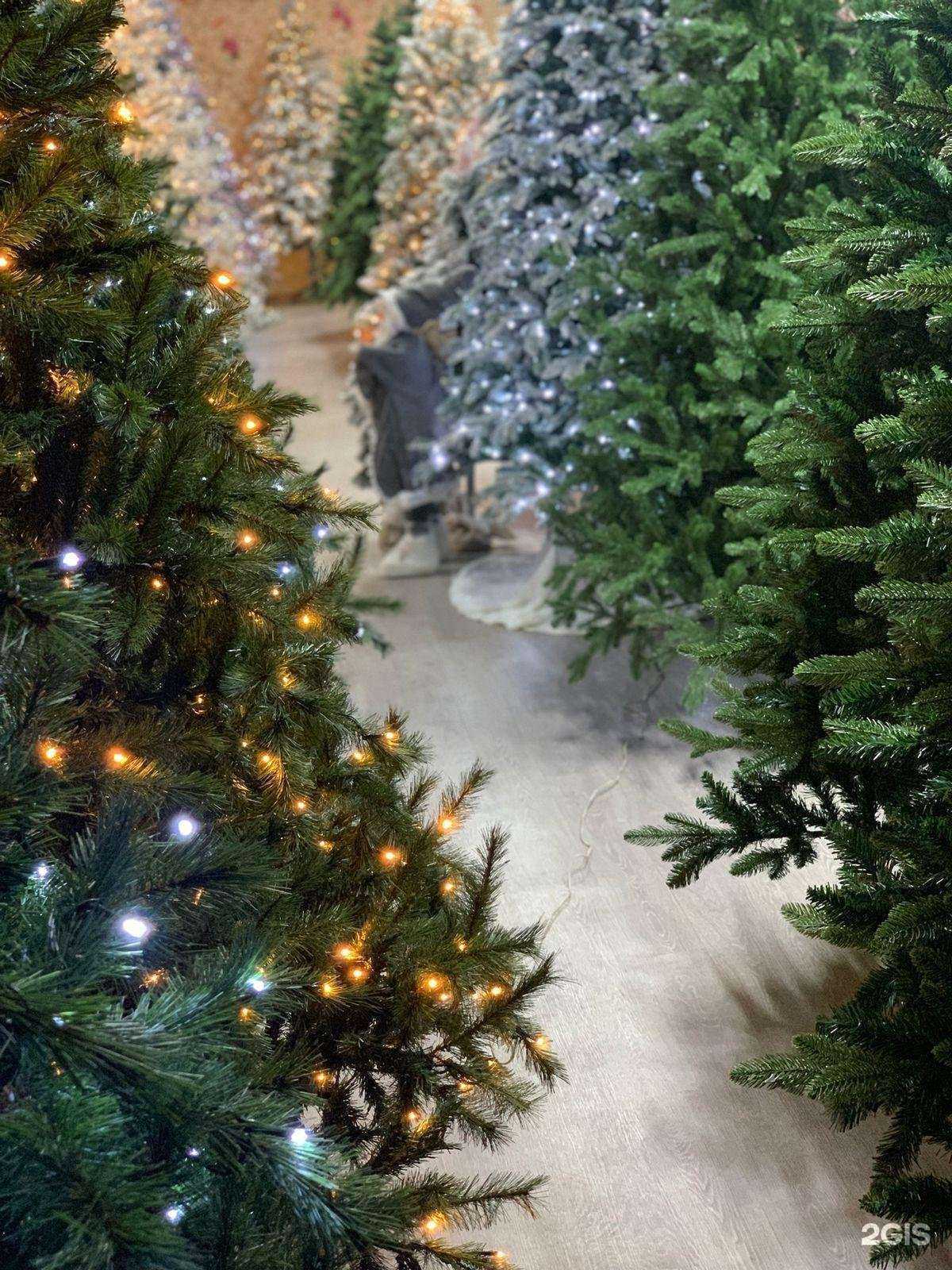 Отзывы на компанию Декор-Цветы в Иркутске c фото