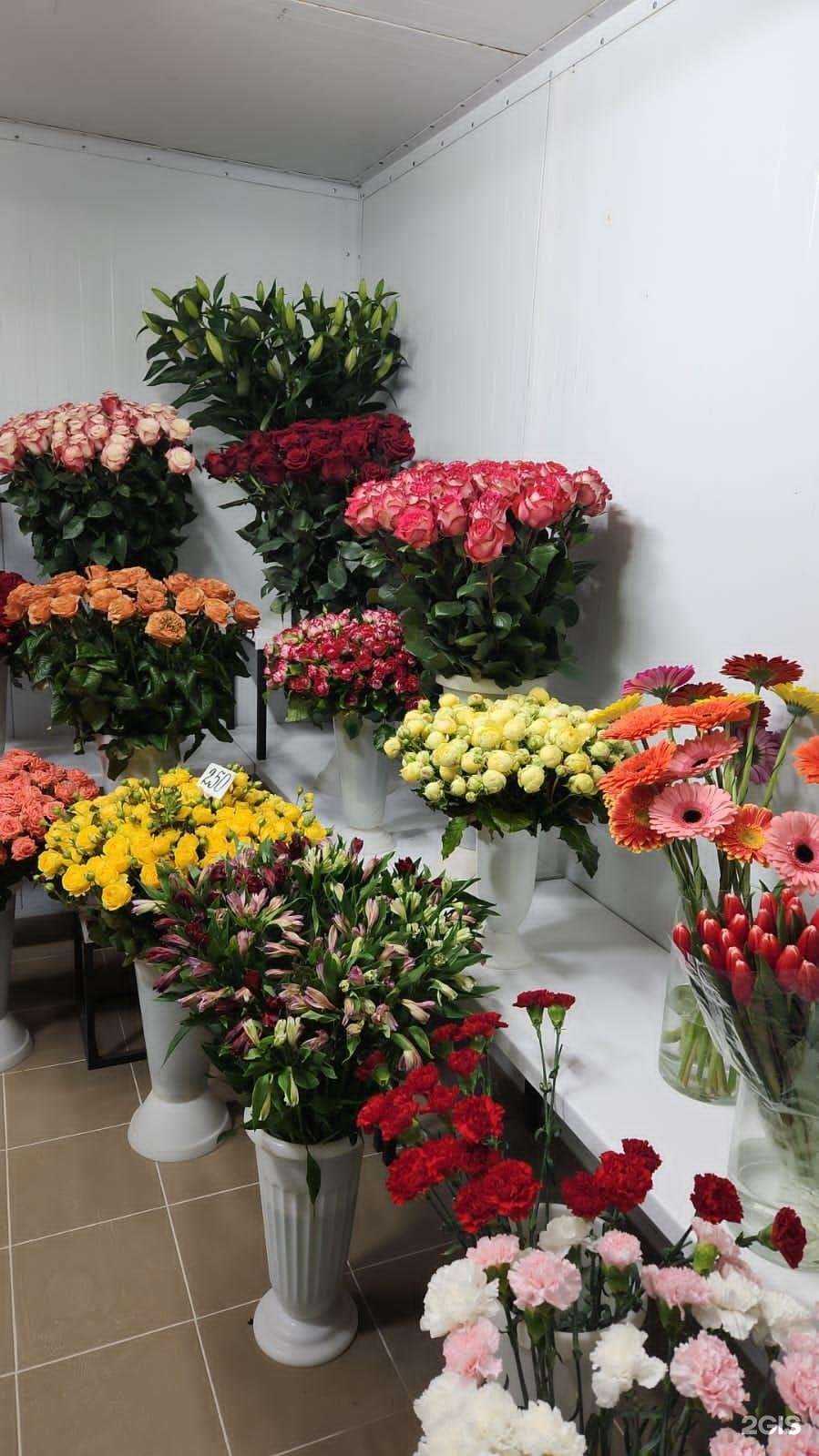 Отзывы на компанию Mak&co в г. Раменское c фото