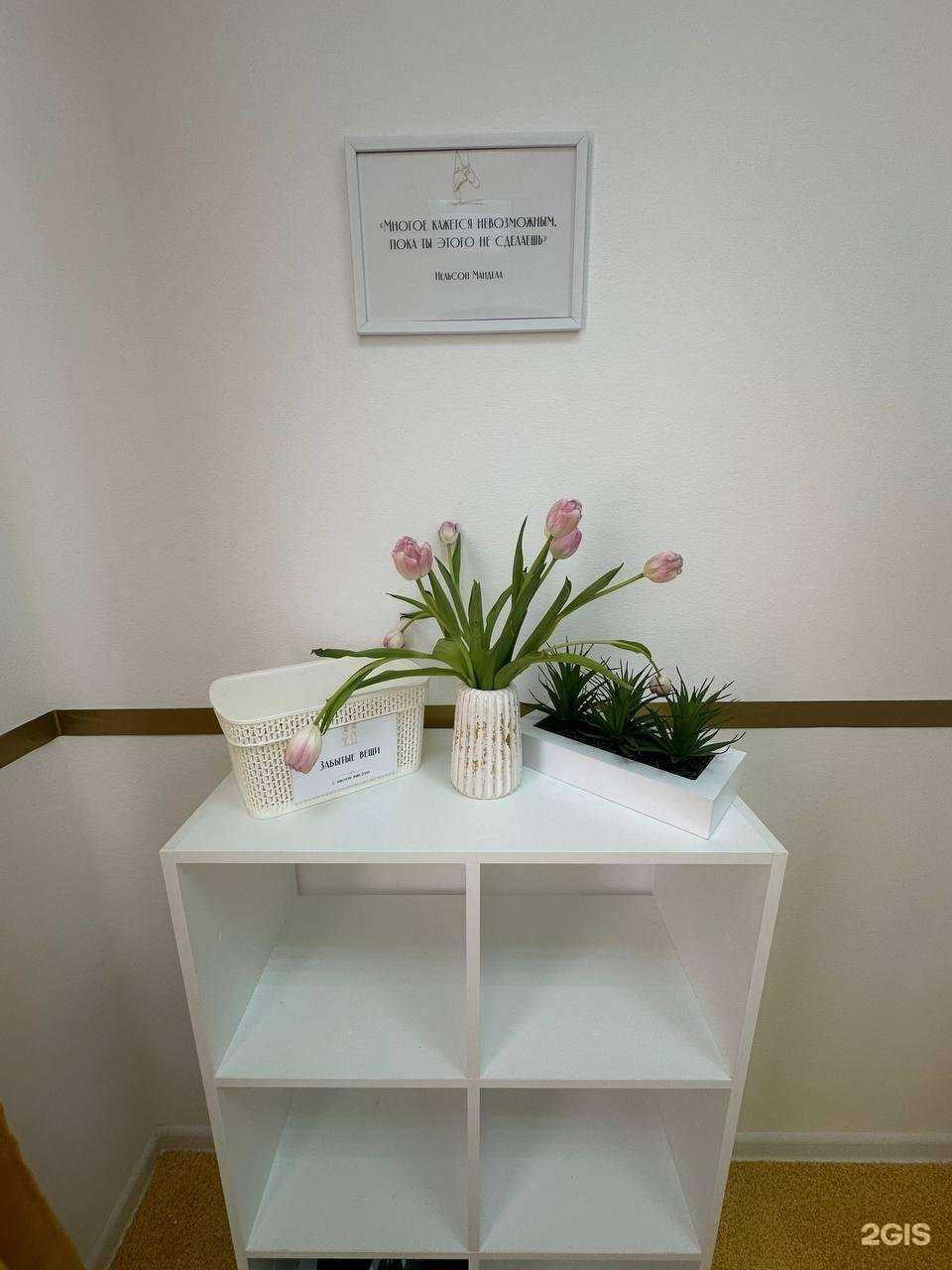 Отзывы на компанию Levita в Жуковском c фото