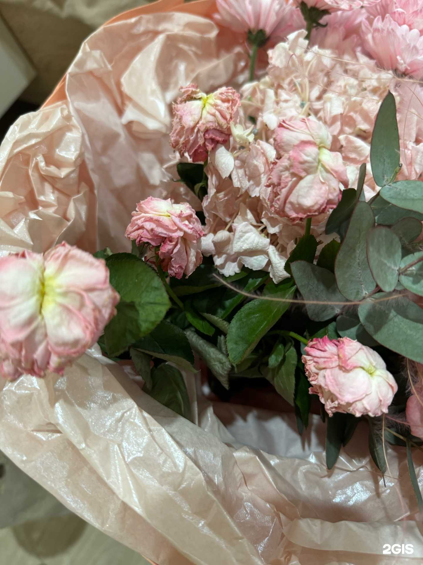 Отзывы на компанию Мир цветов в Крымске c фото