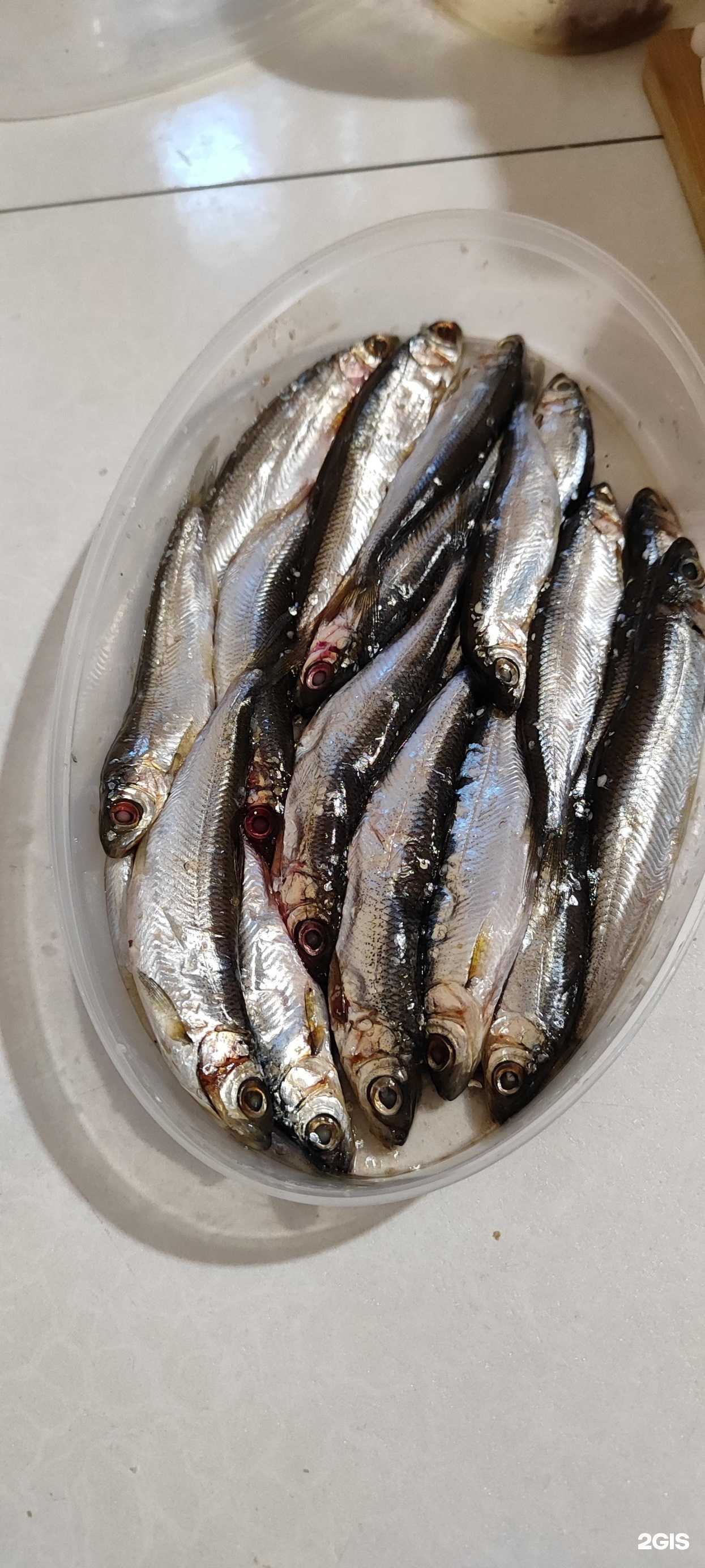 Отзывы на компанию Вкусная рыбка в Красноярске c фото