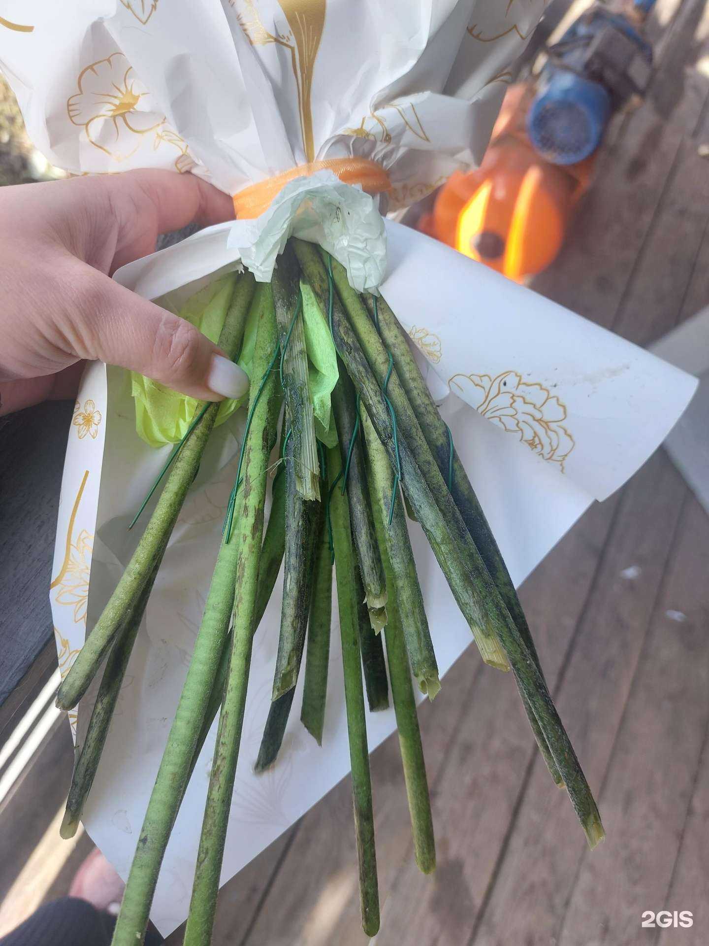 Отзывы на компанию Семицветик в Шелехове c фото