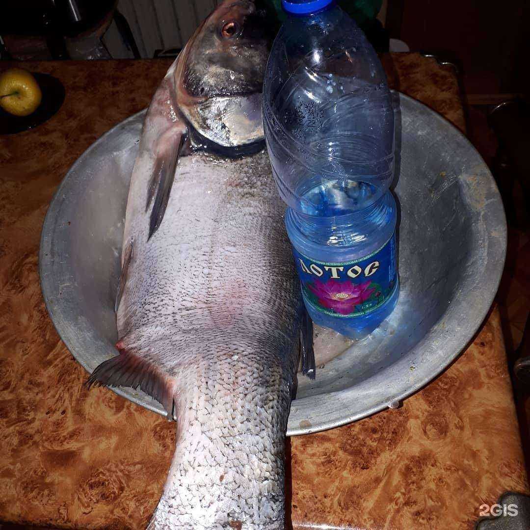 Отзывы на компанию Ателье на Ульяновской в Владивостоке c фото