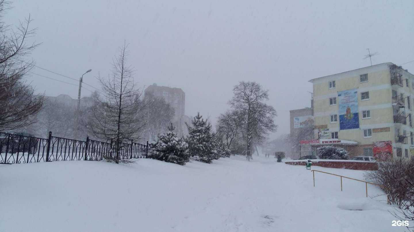 Отзывы на компанию Миницен в Фокине c фото