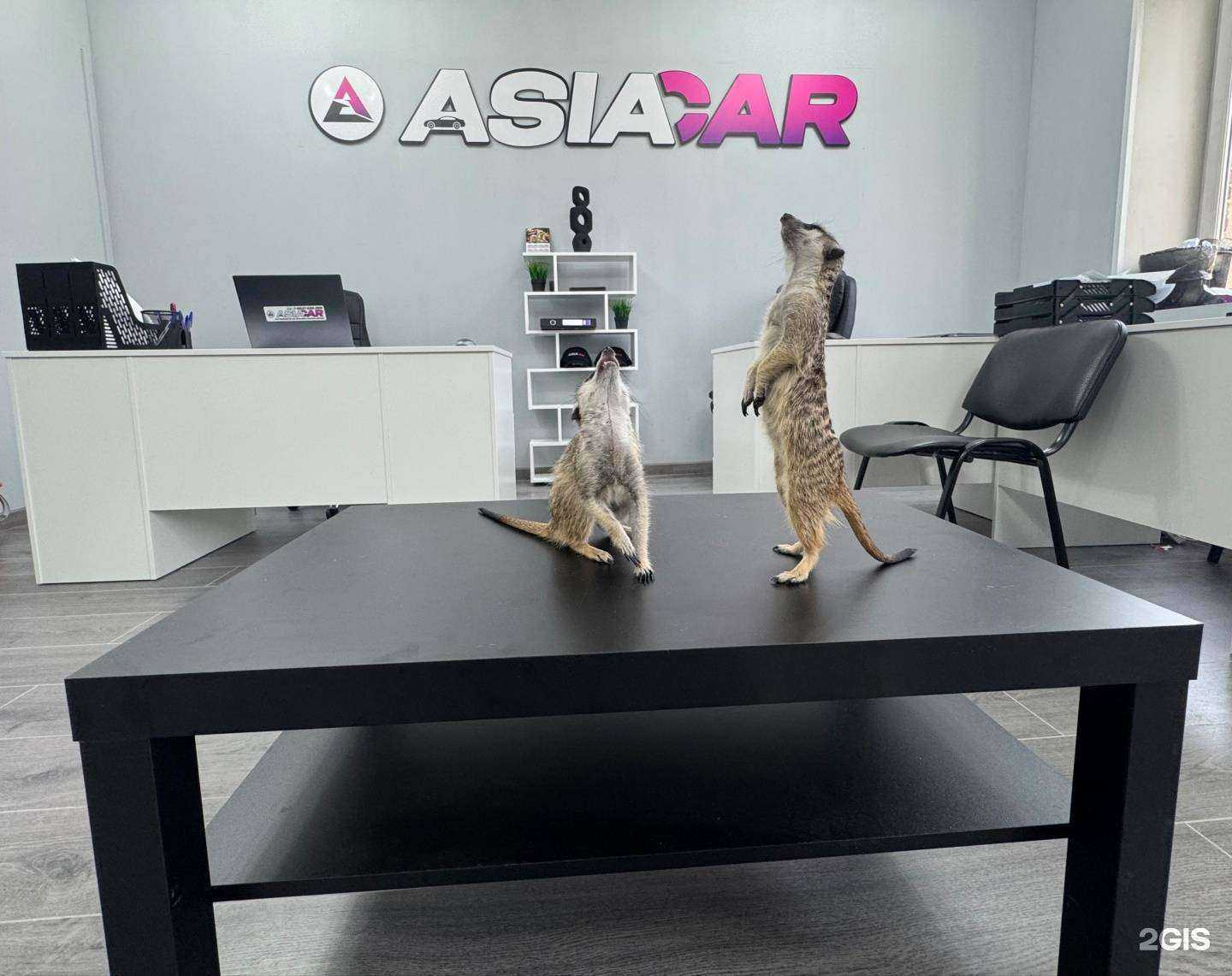 Отзывы на компанию Asiacar в Владивостоке c фото