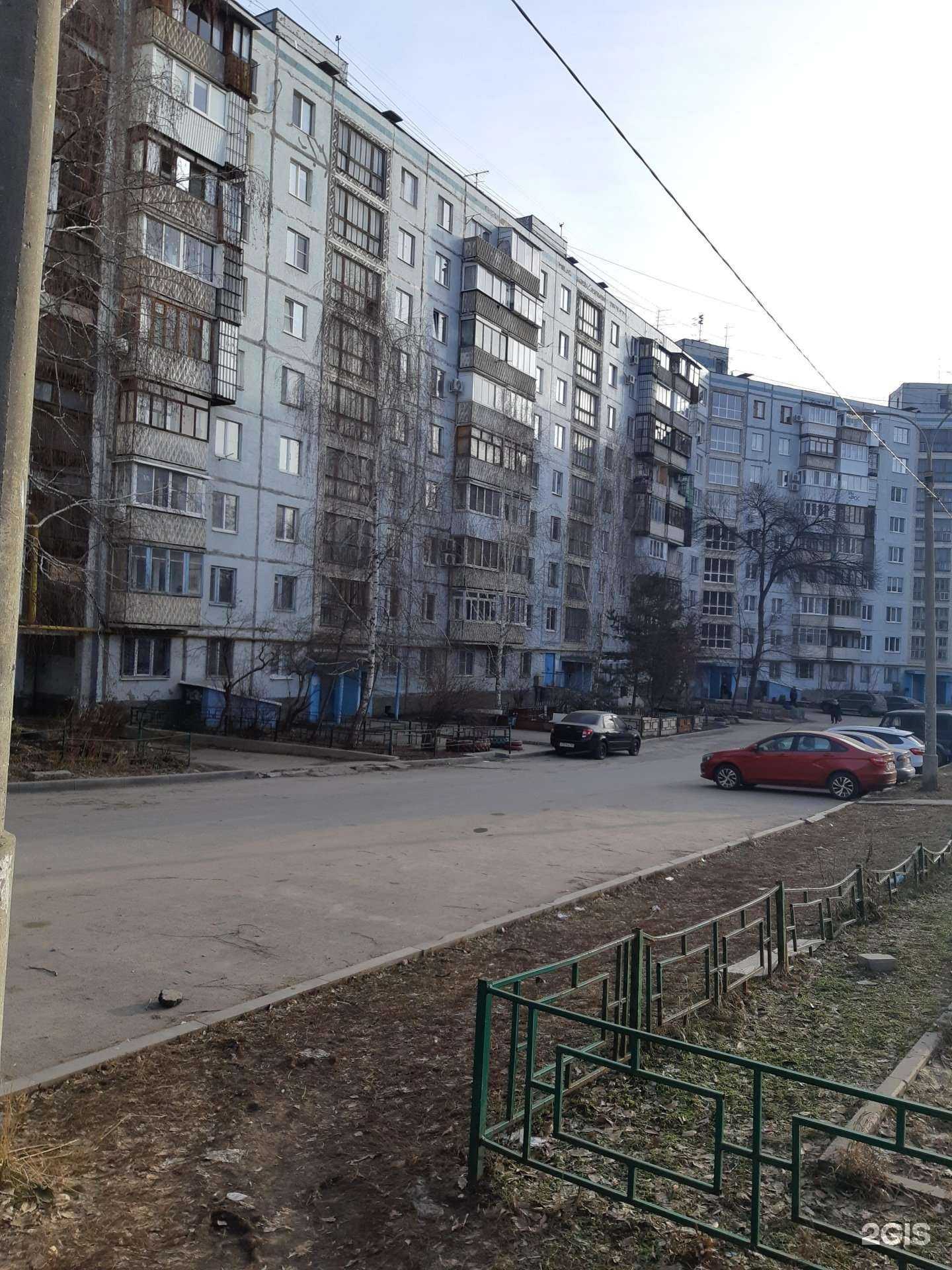 Отзывы на компанию Самарские медведи в Самаре c фото - фотография 2 из 2