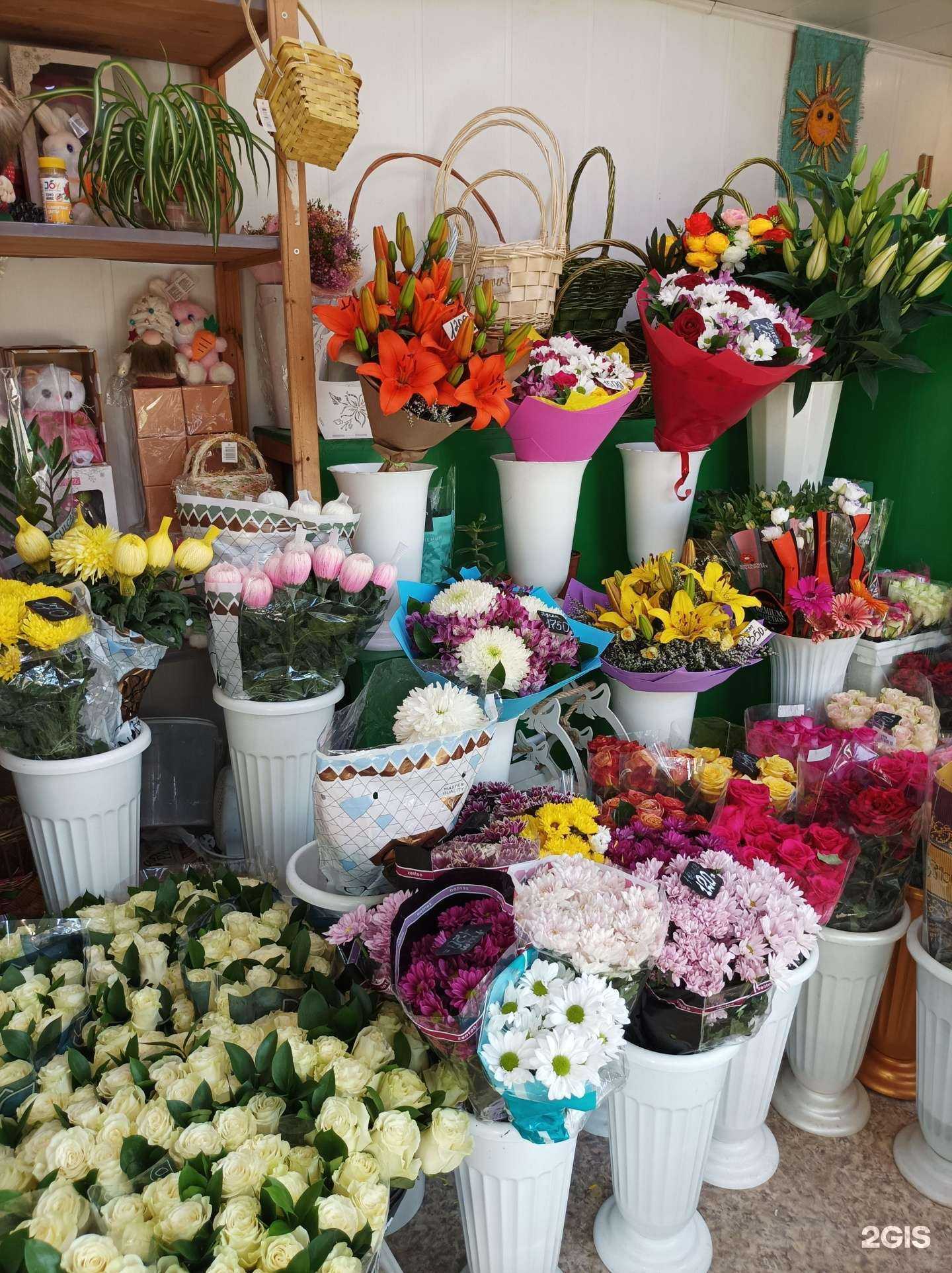 Отзывы на компанию М-флора в Подольске c фото