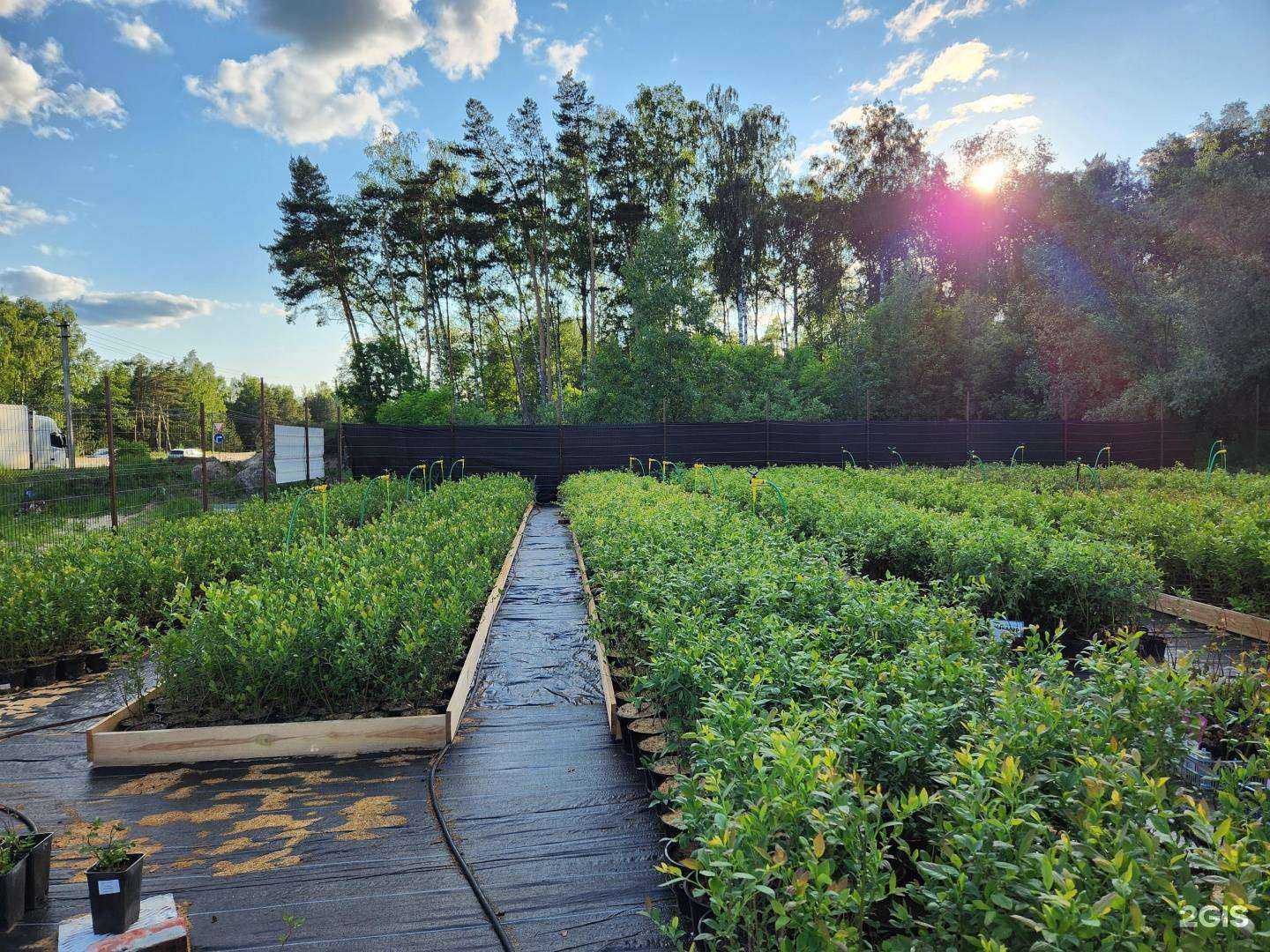 Отзывы на компанию Рокберрис в Нижнем Новгороде c фото