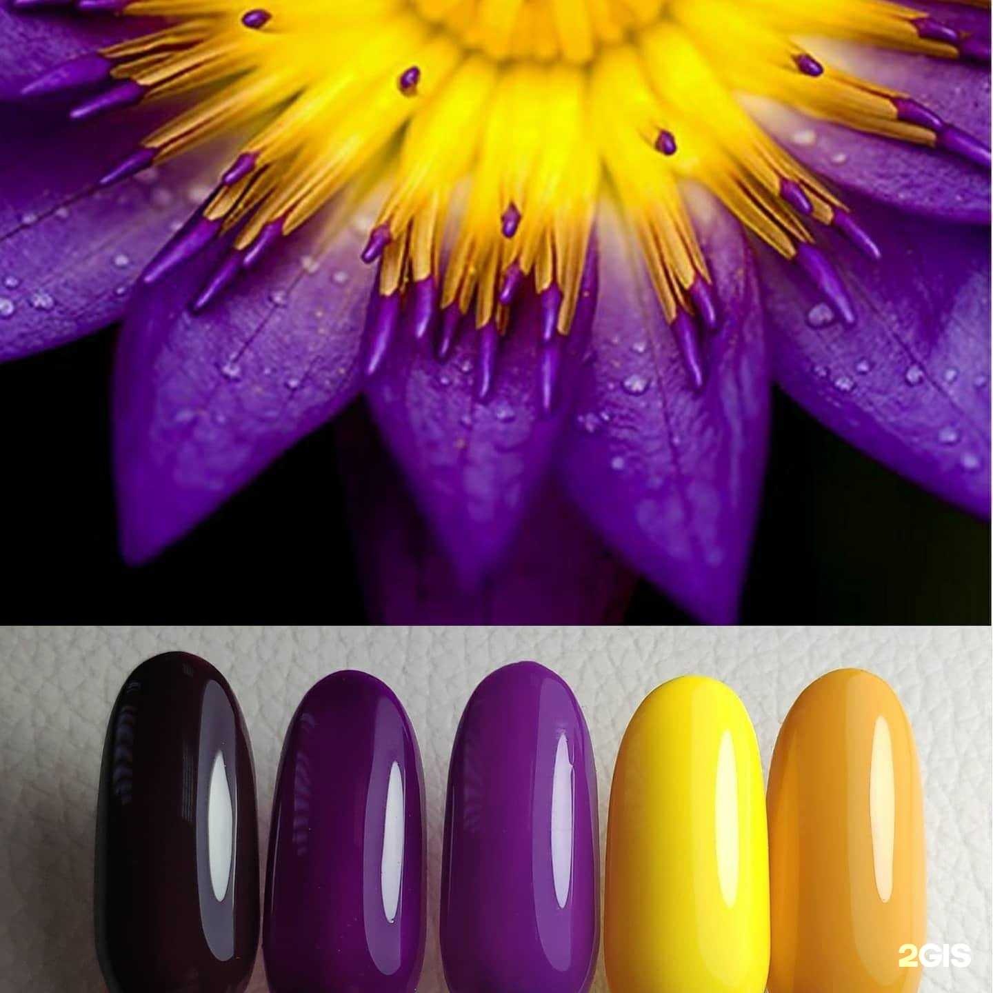 Отзывы на компанию Asty Nailart в г. Иркутск c фото