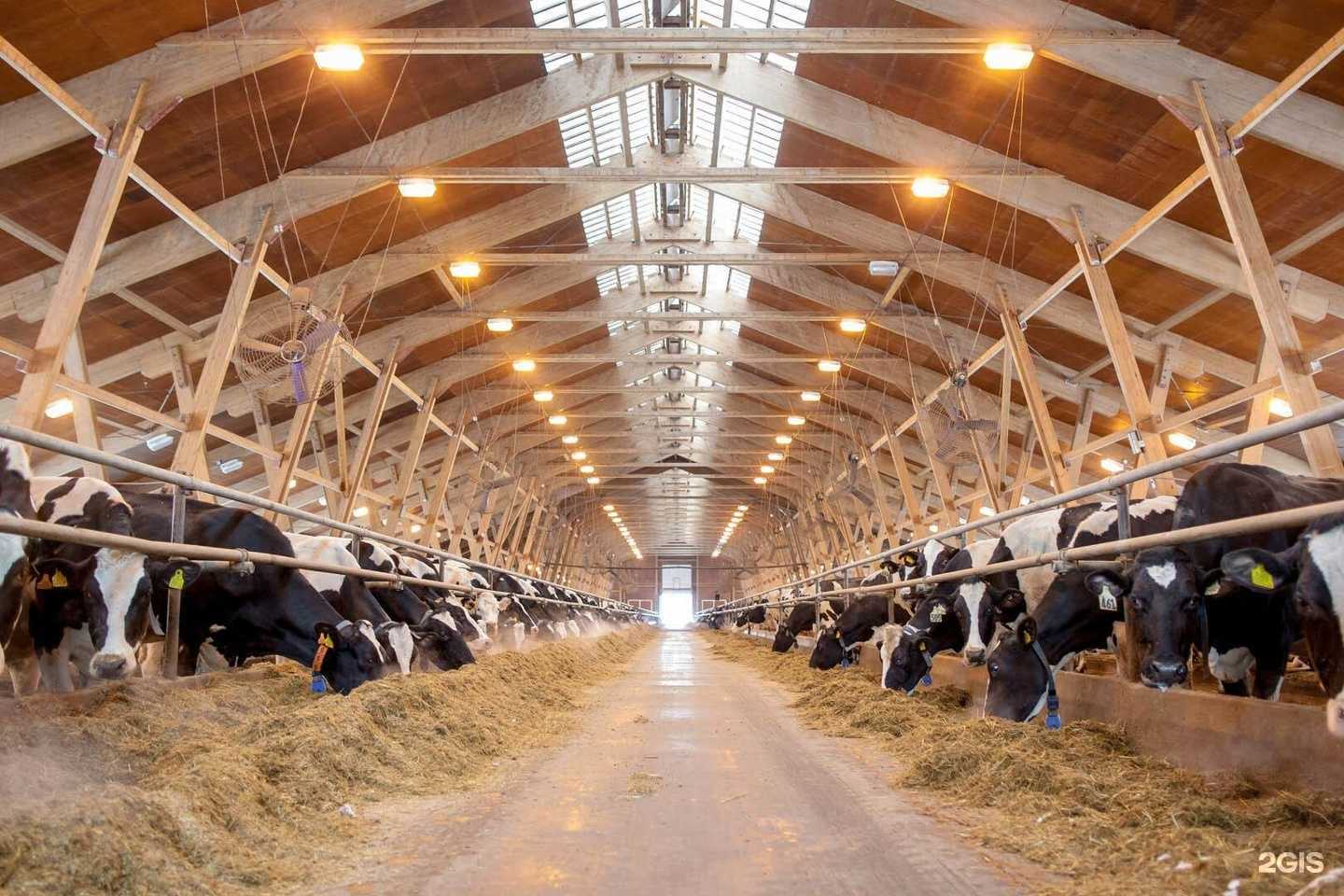 Отзывы на компанию Батыр в Казани c фото