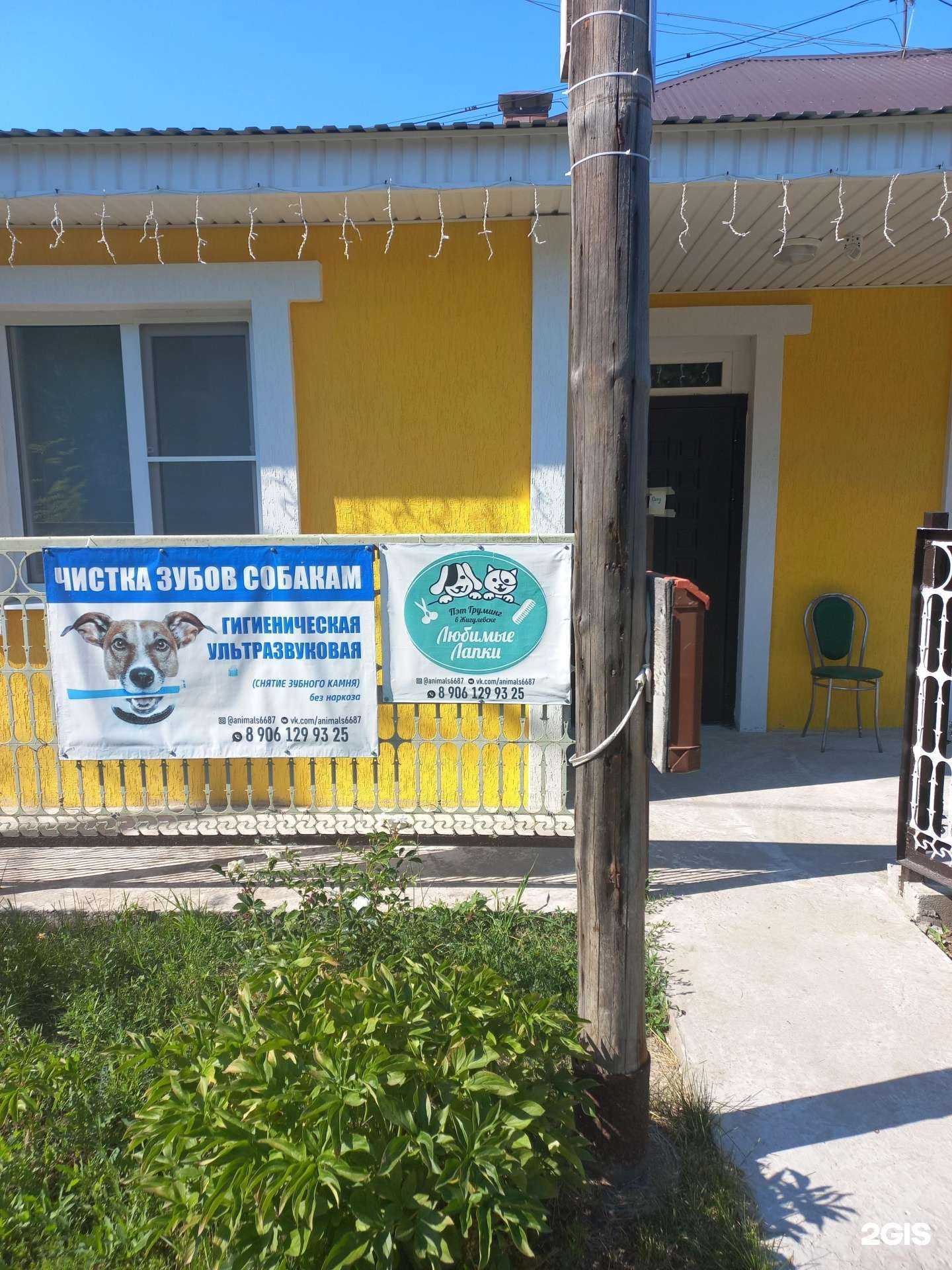 Отзывы на компанию Любимые лапки в Жигулевске c фото