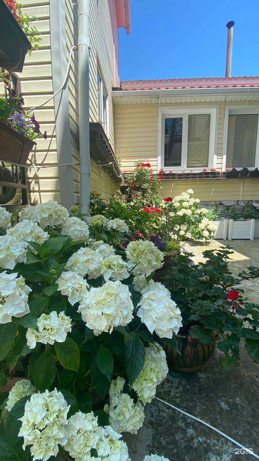 Отзывы на компанию Гостевой дом в г. Сочи c фото