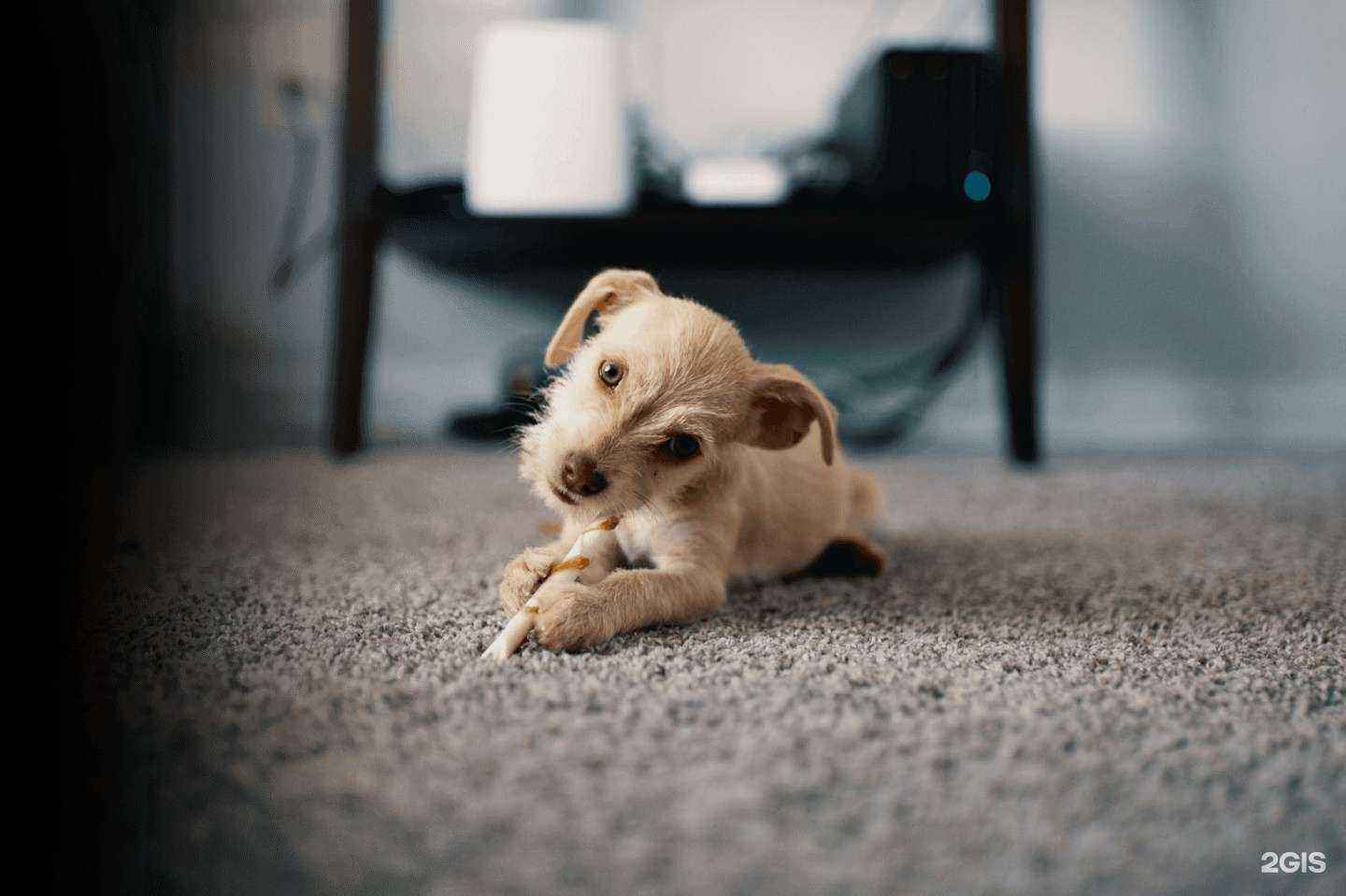 Отзывы на компанию Коврочист в г. Барнаул c фото