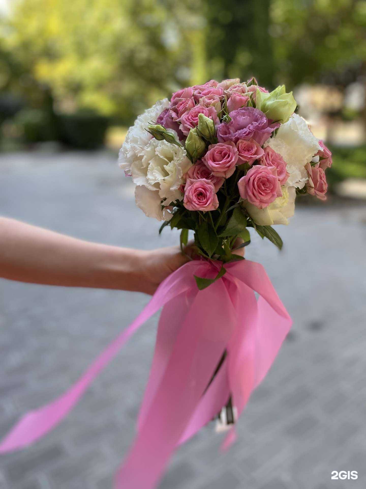 Отзывы на компанию Фея в Анапе c фото