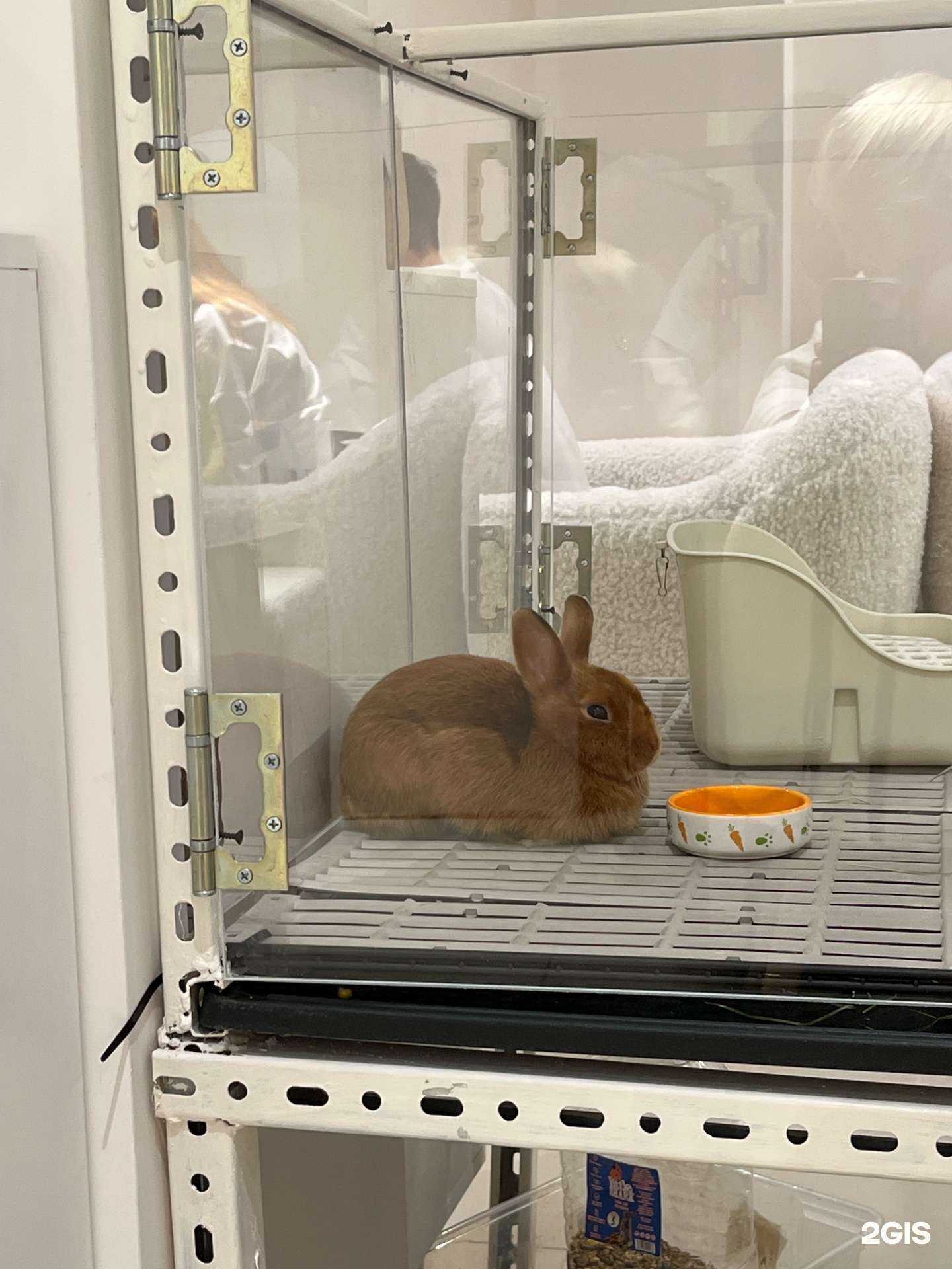 Отзывы на компанию В Гостях У Кролика в г. Геленджик c фото