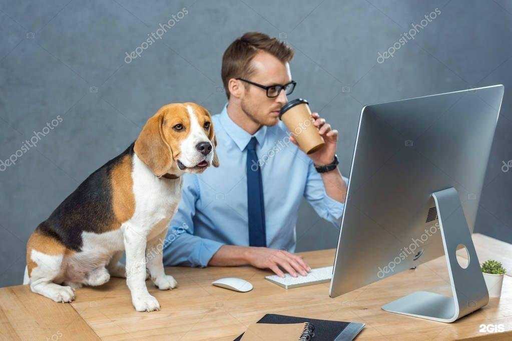 Отзывы на компанию Security-gold в Ростове-на-Дону c фото