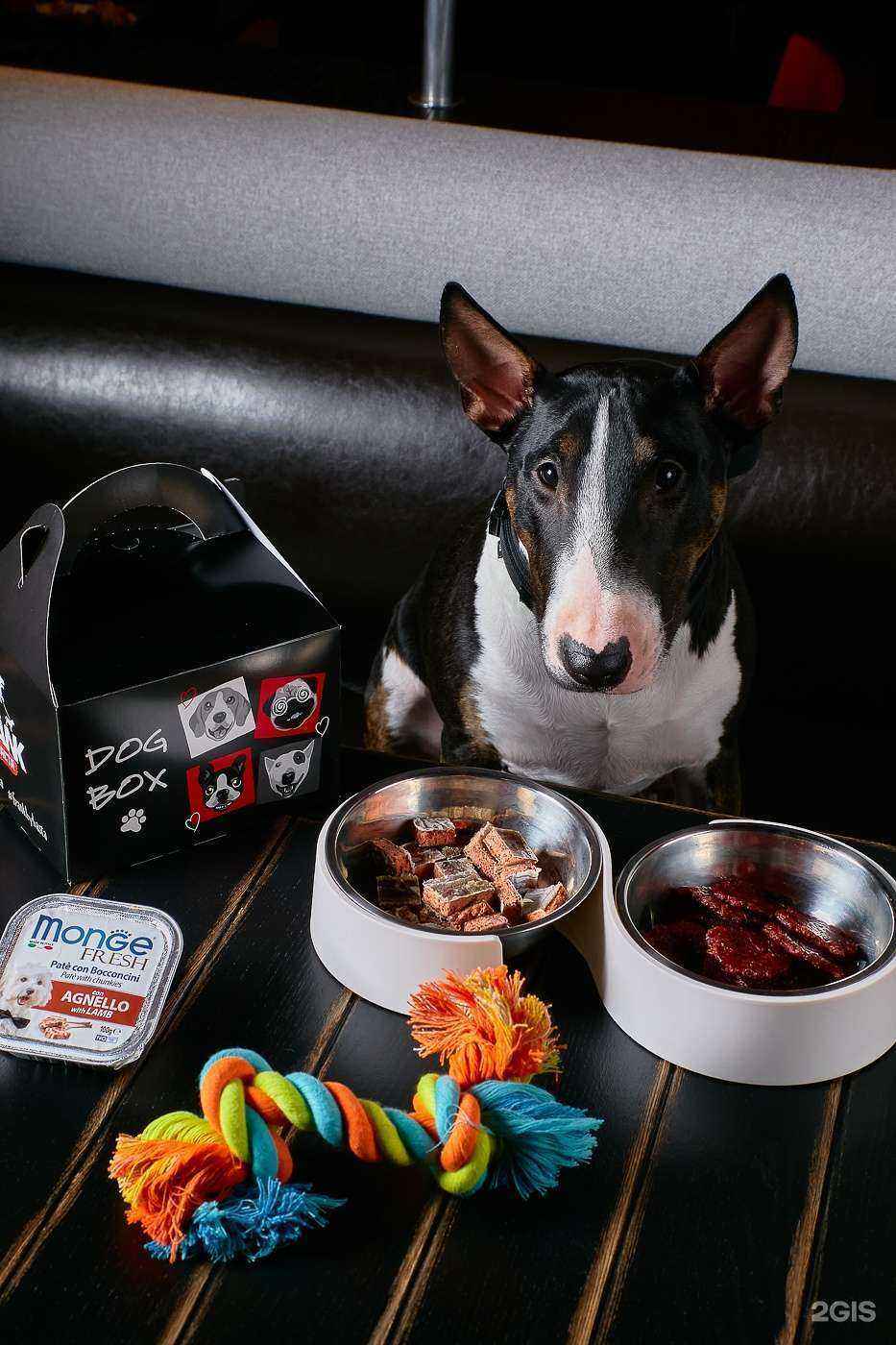 Отзывы на компанию Frank by Баста в Краснодаре c фото