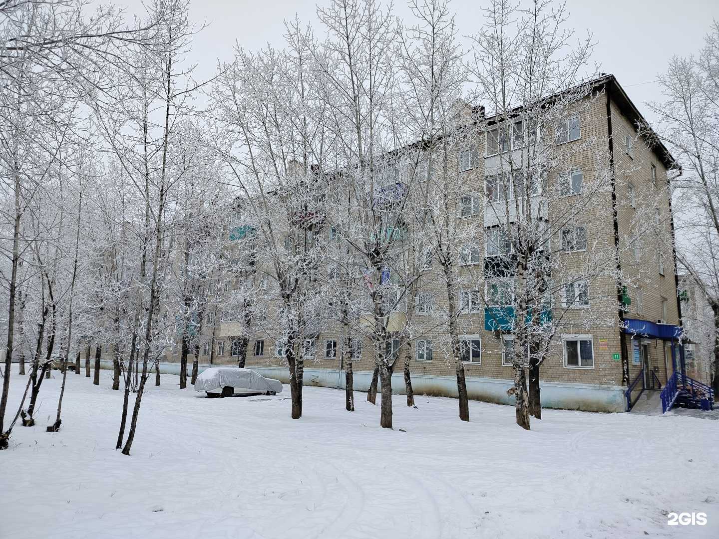 Отзывы на компанию Авиценна в Чите c фото - фотография 2 из 2